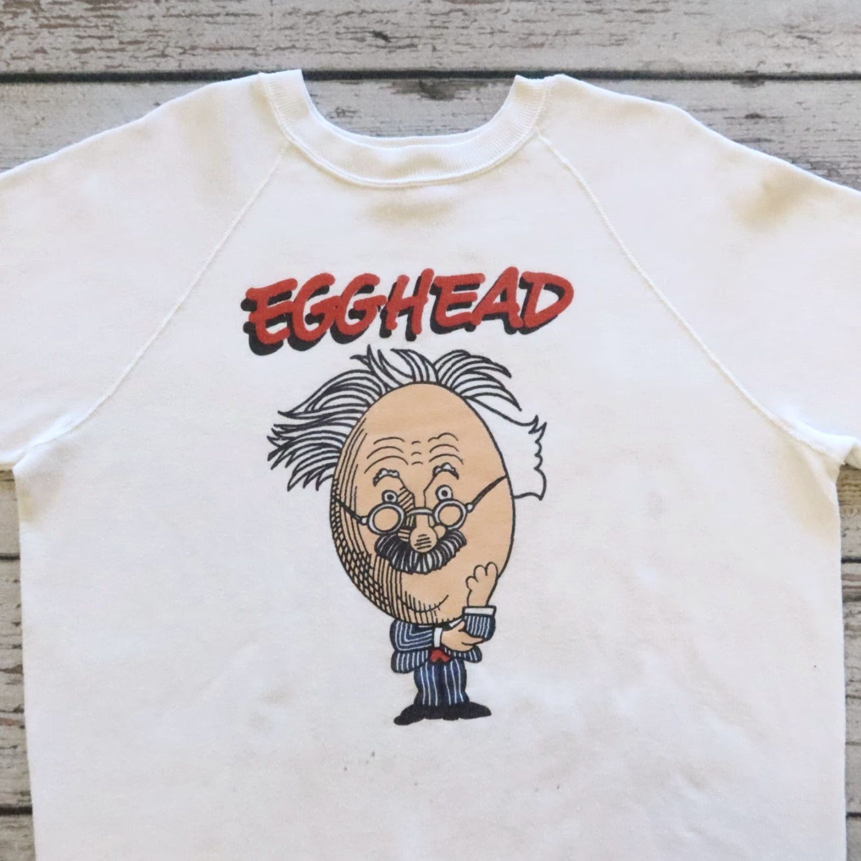 Vintage VINTAGE Albert Einstein Egghead Software Sweatshirt Men XL White Pullover 80s String? Size US XL / EU 56 / 4 - 2 Thumbnail