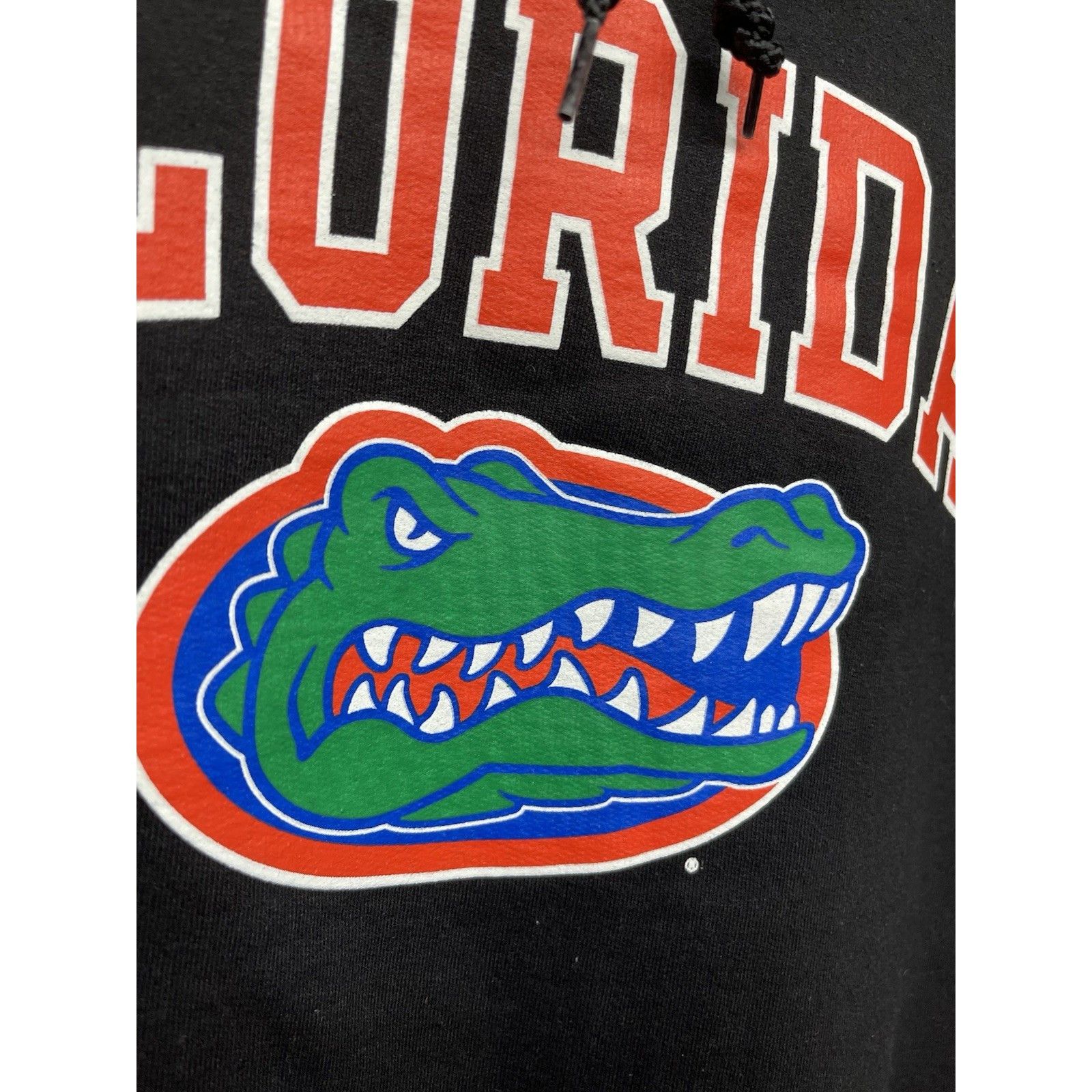 Champion Vintage Champion Hoodie University of Florida Gators Black S Size US XL / EU 56 / 4 - 4 Thumbnail