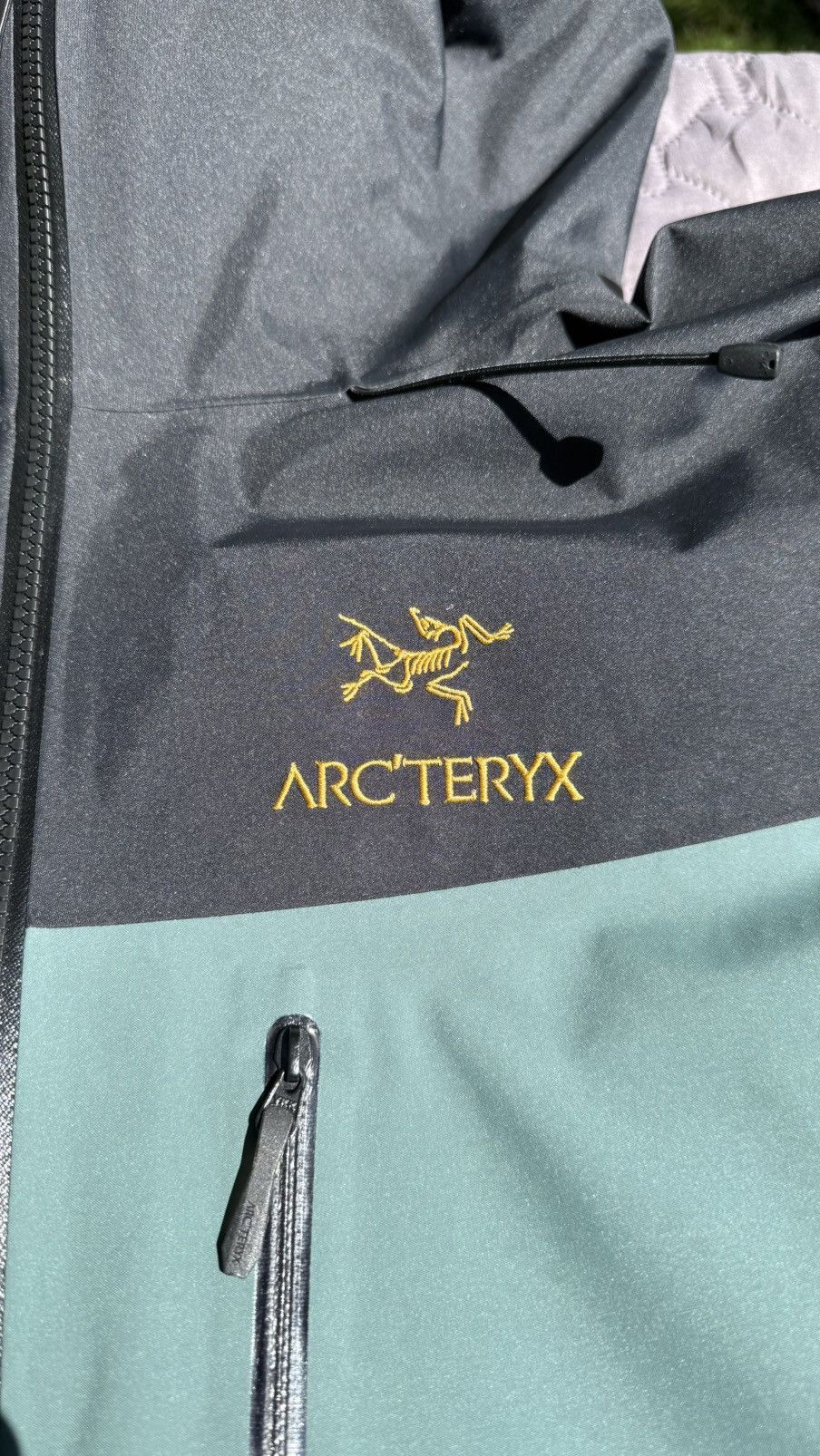 Arc'teryx Alpha SV Size US L / EU 52-54 / 3 - 2 Thumbnail