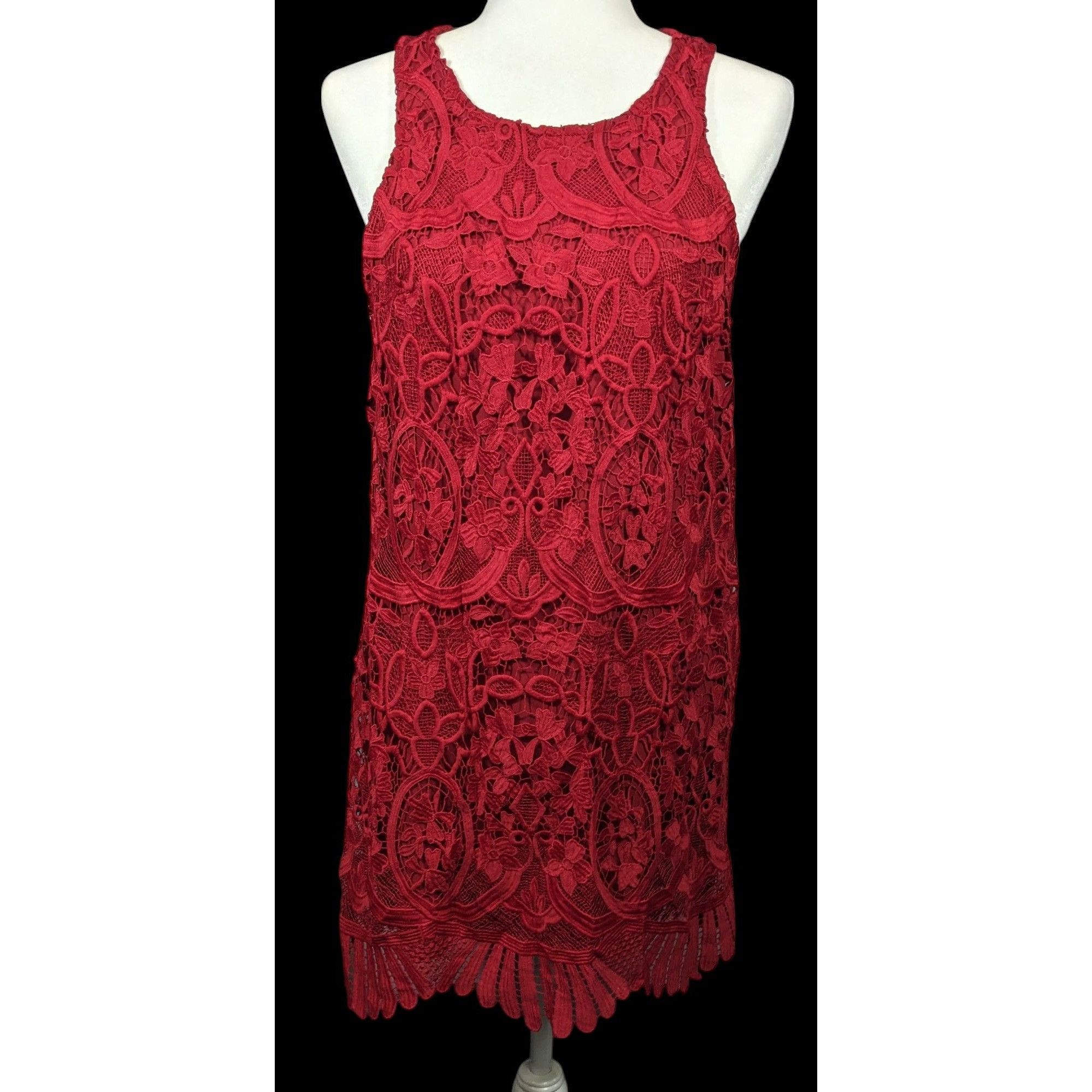 Lovers and Friends Lovers + Friends Caspian Red Lace Shift Dress Size Large Size L / US 10 / IT 46 - 1 Thumbnail