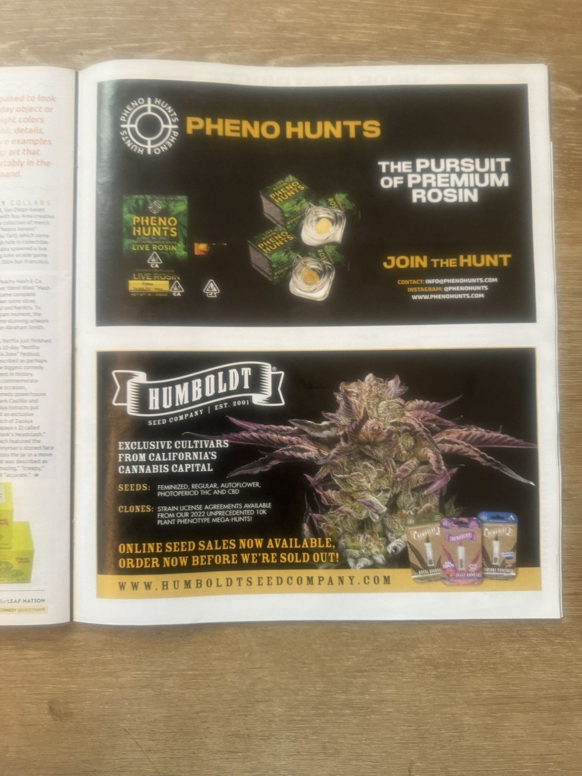 Dazed Magazine California Leaf The Concentrates Issue Magazine (High Times) Size ONE SIZE - 8 Thumbnail