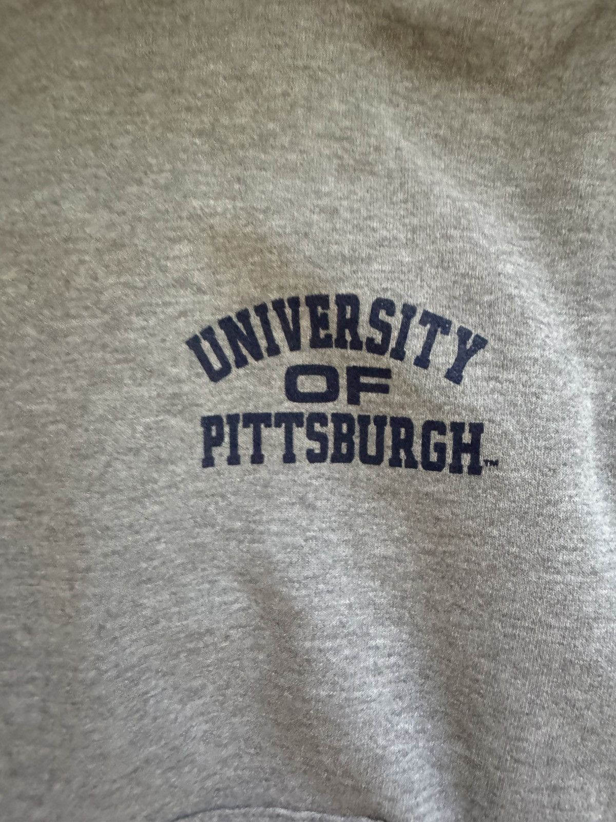 Jansport Gray Vintage University of Pitt Hoodie Size US M / EU 48-50 / 2 - 2 Thumbnail