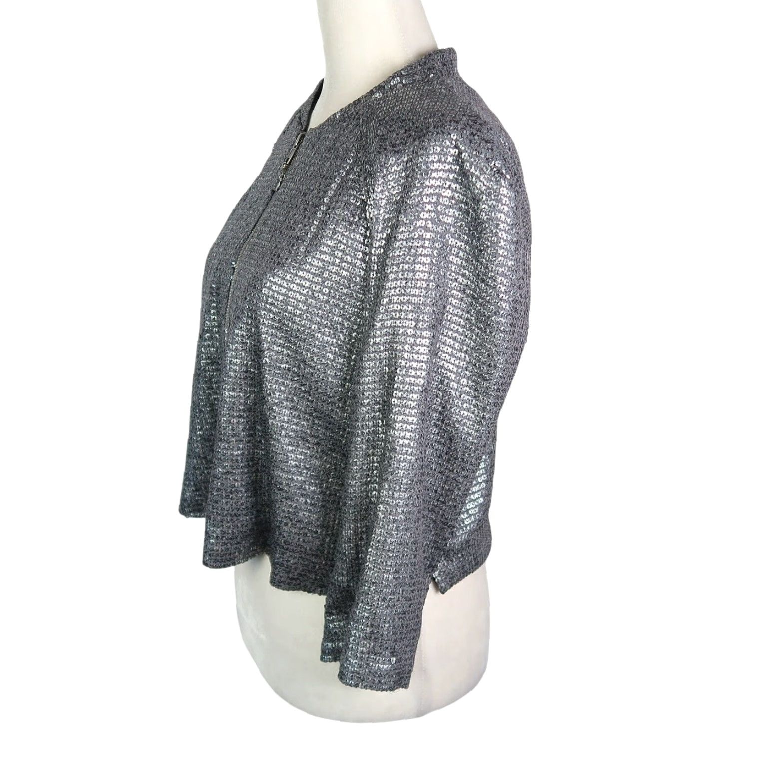 Vintage Silence + Noise Gunmetal Silver Sequin Crop Zip Front Jacket M Womens Short Beaded, Sequin Casual Party/Cocktail Zip Front Size M / US 6-8 / IT 42-44 - 3 Thumbnail