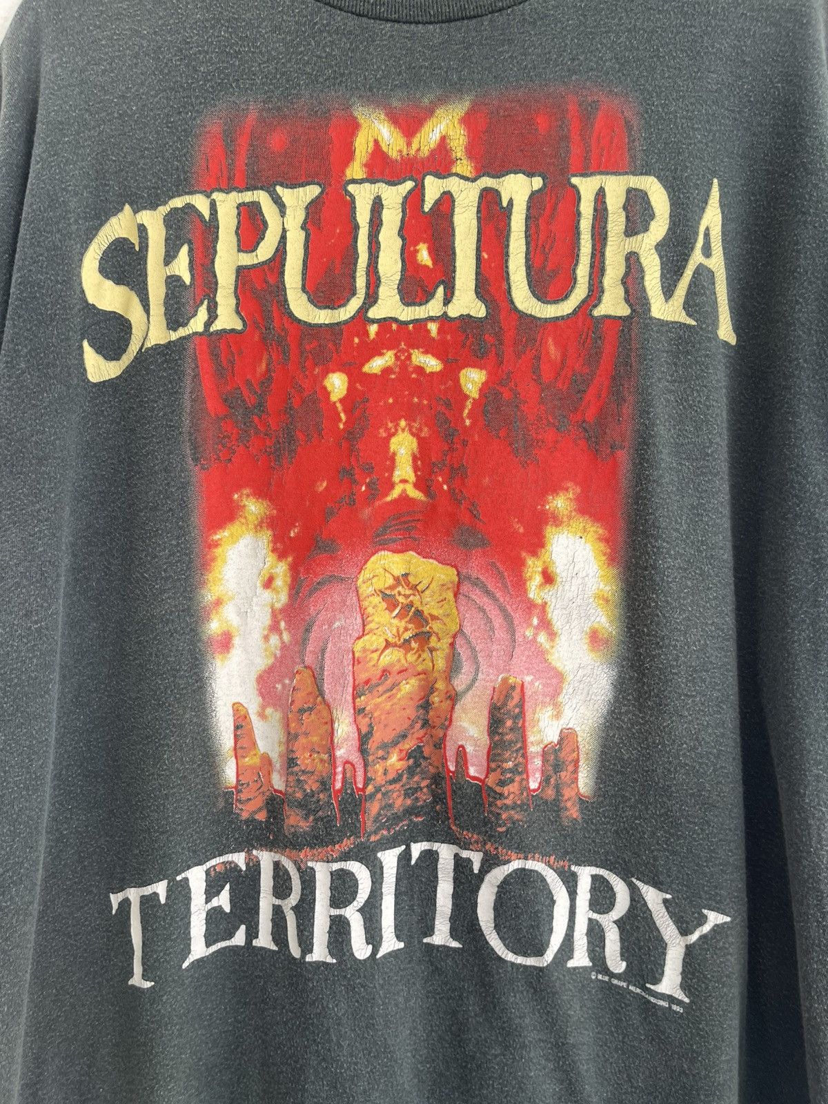 Band Tees Vintage 1993 Sepultura Territory Blue Brape T Shirt Size US XL / EU 56 / 4 - 3 Thumbnail