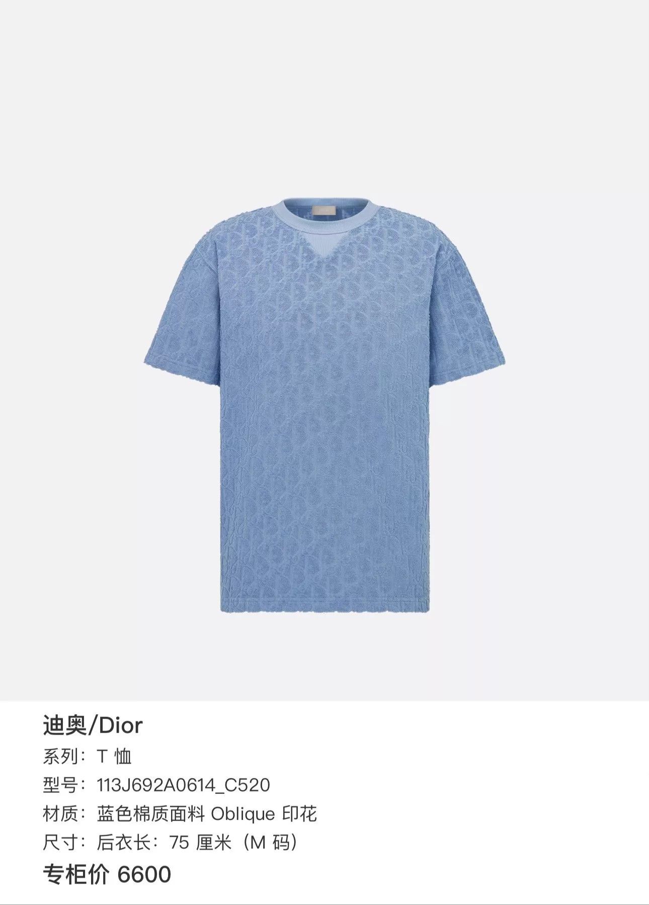 Dior Dior Oblique Blue Print T-shirt XL Size US XL / EU 56 / 4 - 6 Thumbnail