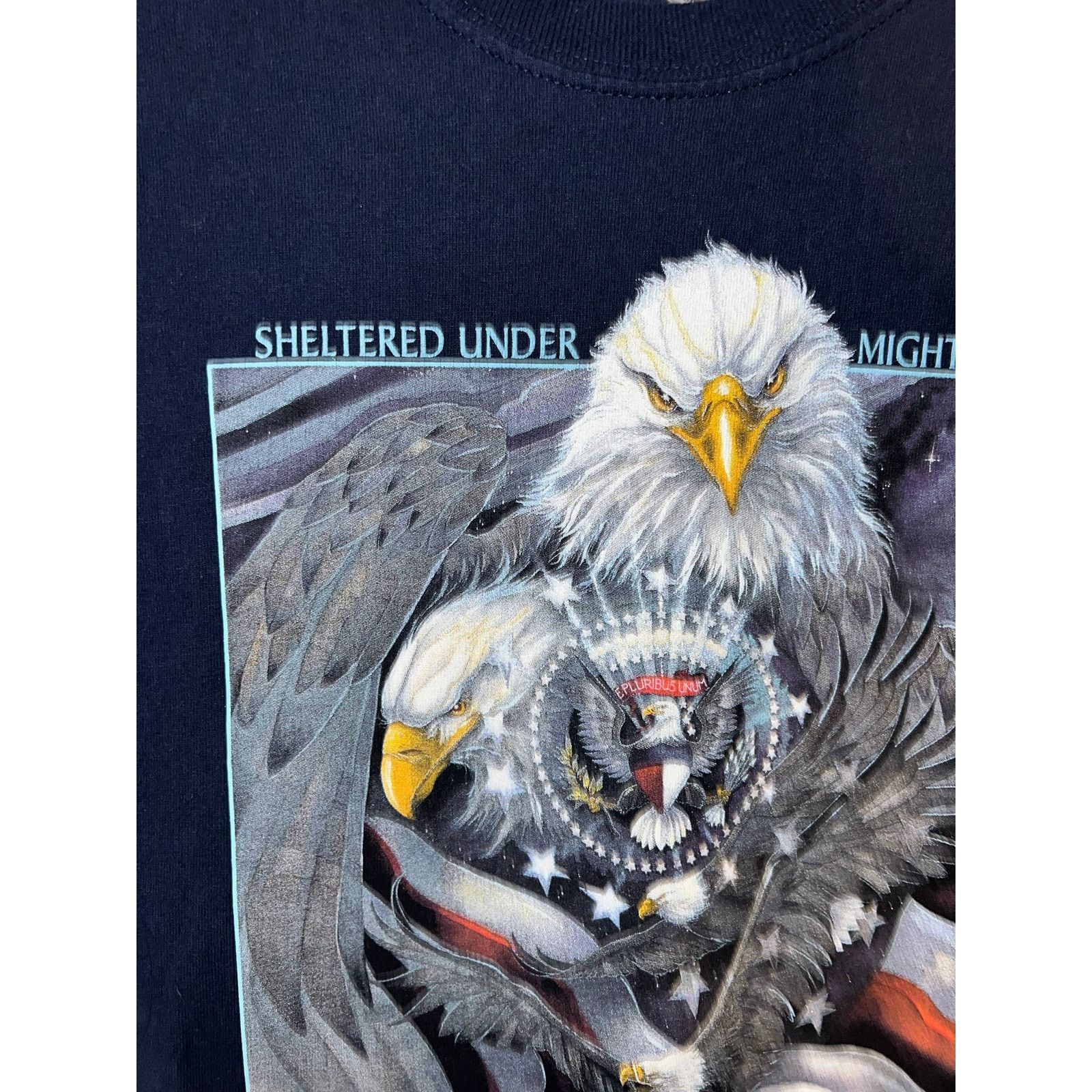 Gildan Vintage Eagle Shirt Sheltered Under Mighty Wings Blue Tee M Size US M / EU 48-50 / 2 - 4 Thumbnail