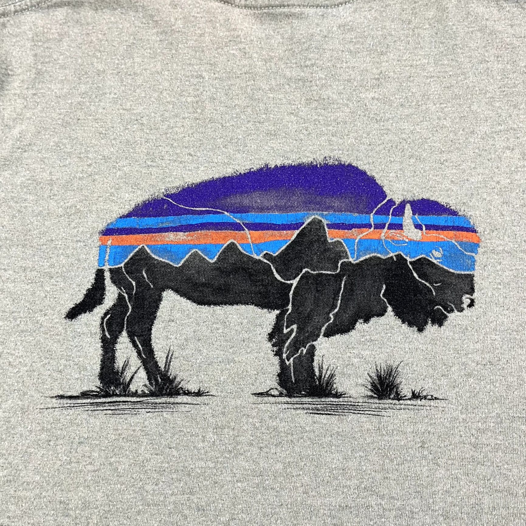 Patagonia PATAGONIA Shirt Mens Small Green Graphic Bison Responsibili-Tee Hiking Outdoors Size US S / EU 44-46 / 1 - 7 Thumbnail