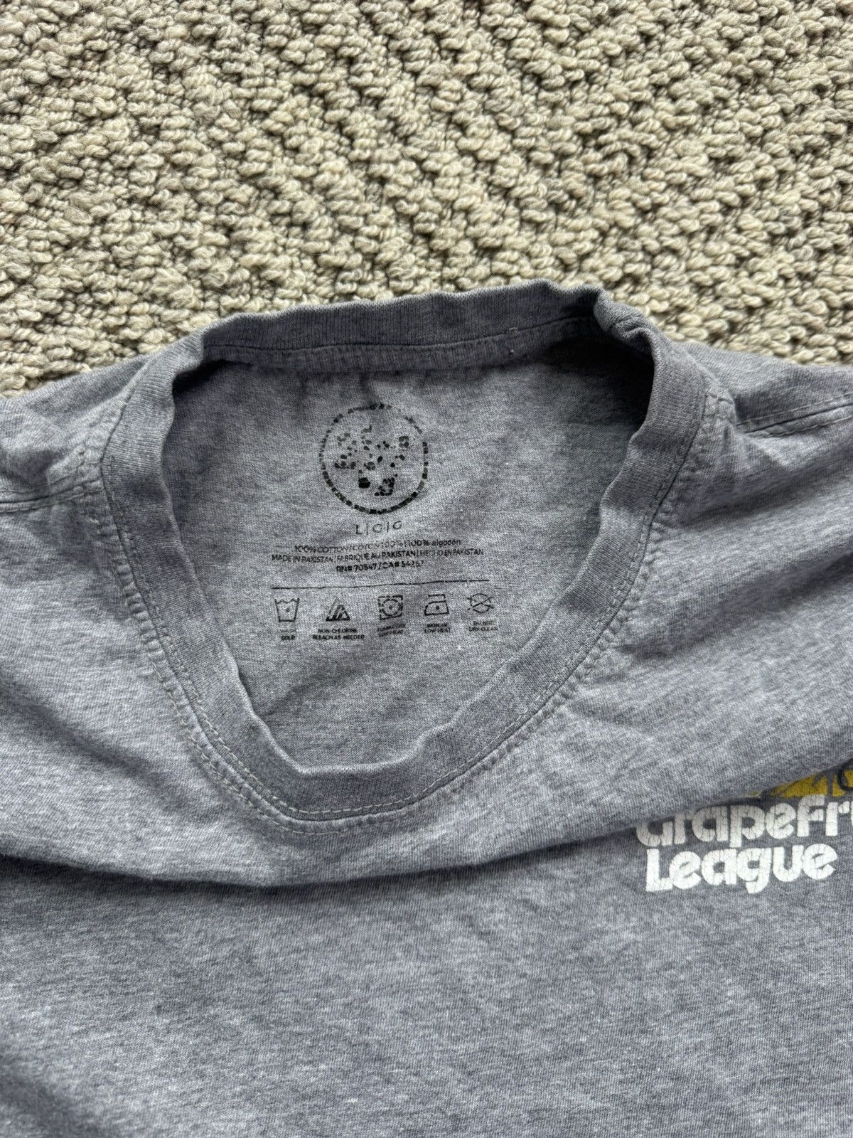 47 Brand MLB Grapefruit League Spring training Tee Size US L / EU 52-54 / 3 - 5 Thumbnail