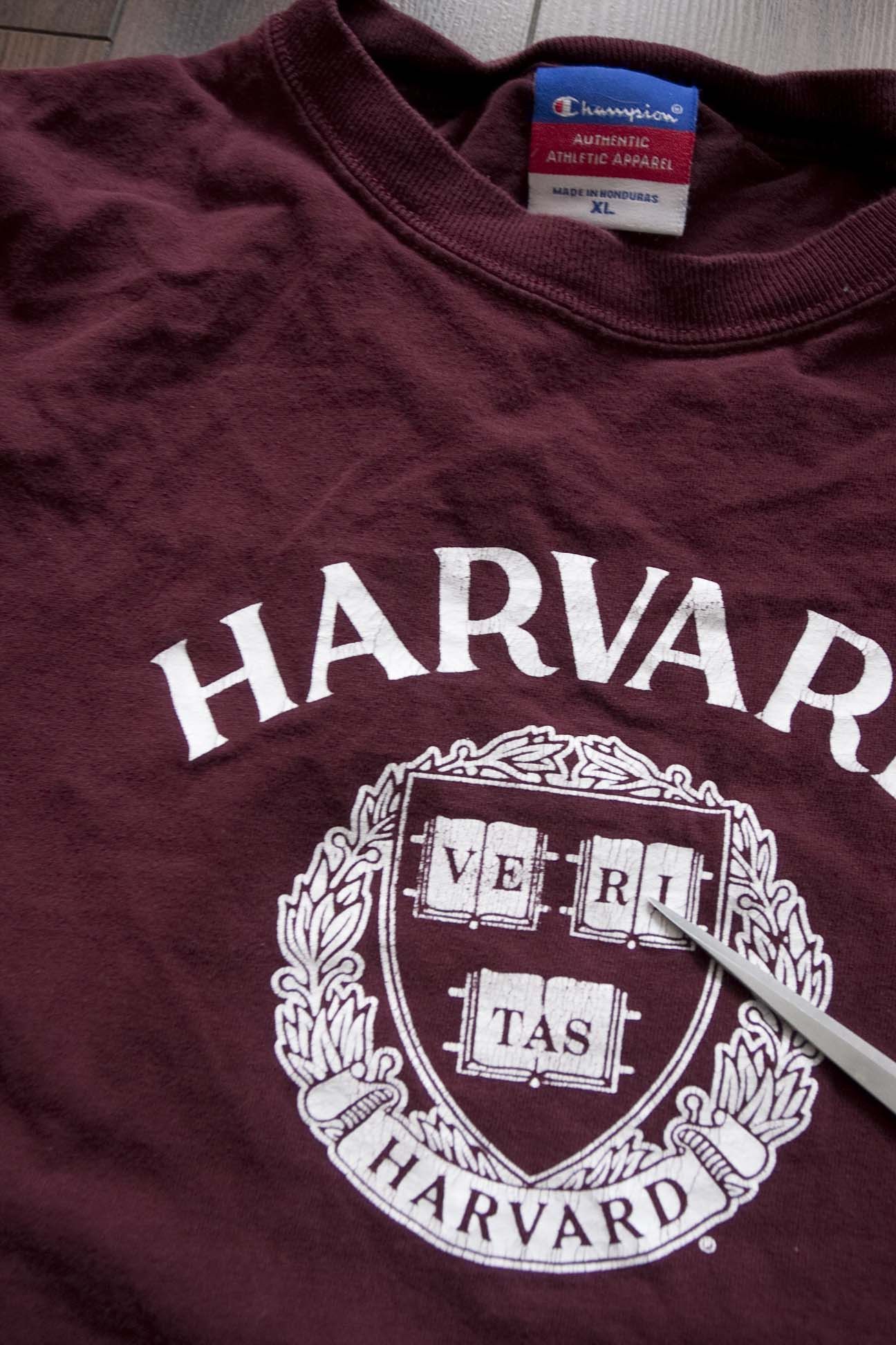 Champion Harvard University T Shirt Size XL Champion Size US XL / EU 56 / 4 - 2 Thumbnail