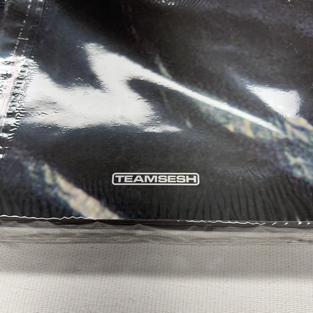 Bones × TeamSESH NEW Teamsesh Bones Garbage Book Photo Merch Accessory Size ONE SIZE - 2 Thumbnail