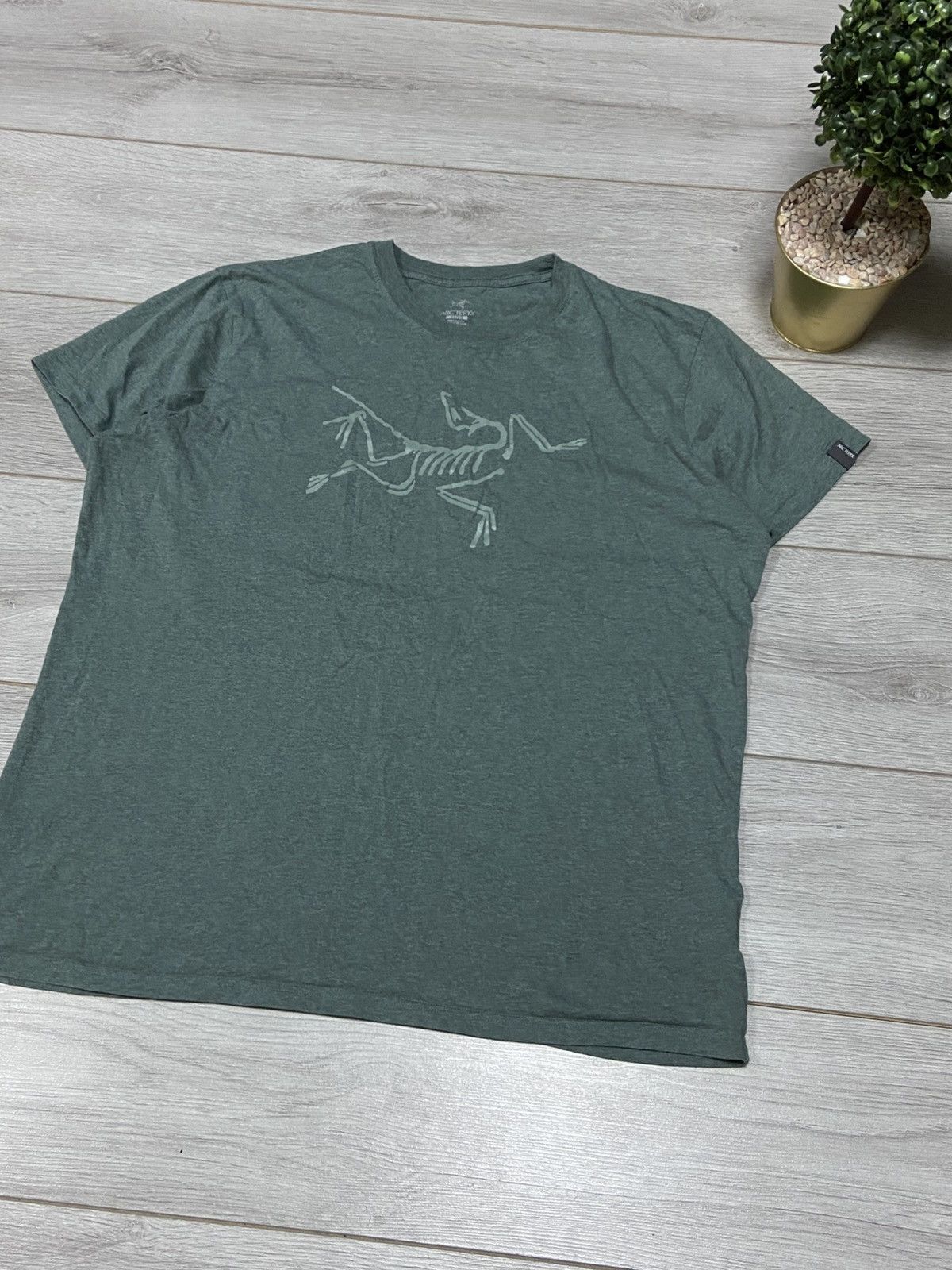 Arc'teryx Arcteryx vintage big bird logo t-shirt Size US XL / EU 56 / 4 - 2 Thumbnail