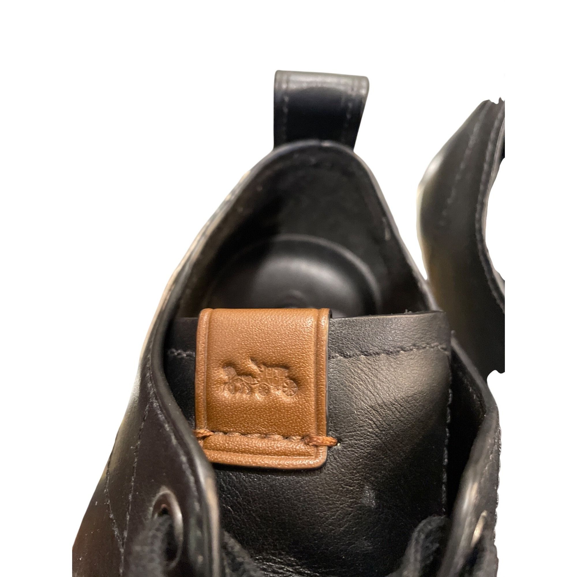 Coach Coach wms black leather low top shark embroided Lightning sn Size US 8 / IT 38 - 12 Thumbnail