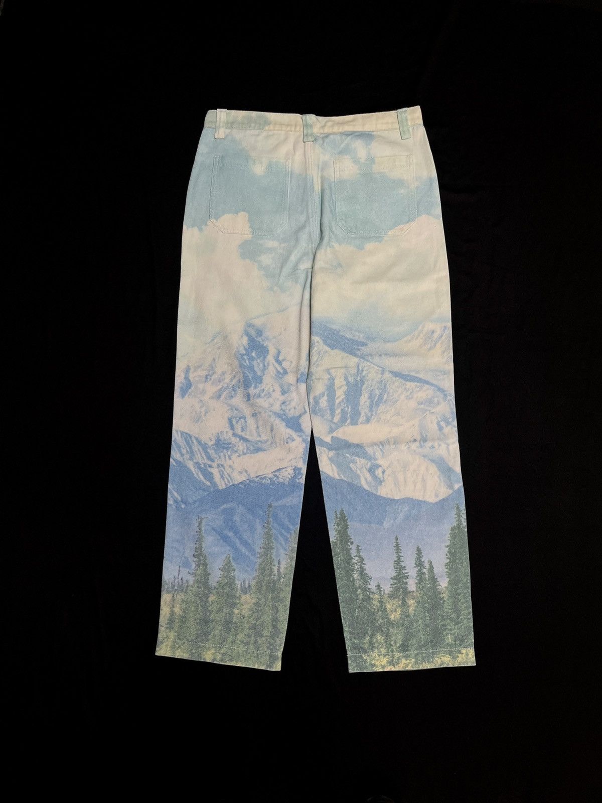 Jaded London Rare Jaded London Eagle Print Skate Fit Casual Pants W34 Size US 34 / EU 50 - 10 Thumbnail
