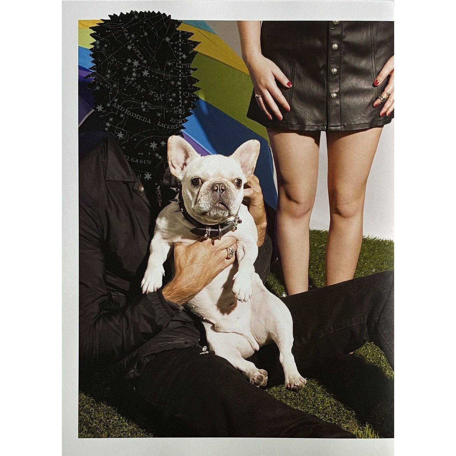 Chrome Hearts × Japanese Brand × Vintage Chrome Hearts dog photo Poster framed 9x11 Size ONE SIZE - 2 Thumbnail