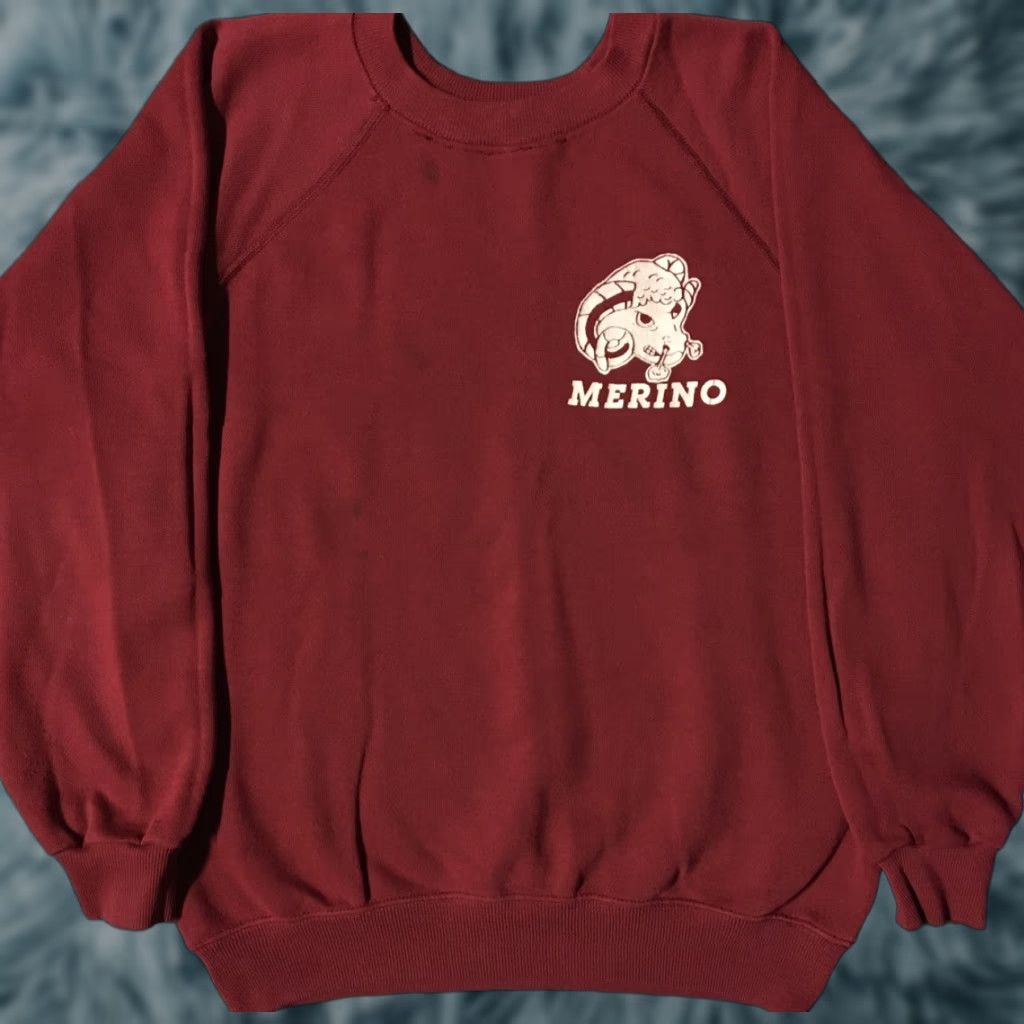 Hanes Vtg 80s Merino School Rams Faded Sweatshirt S USA Track Grunge PE College 90s Size US S / EU 44-46 / 1 - 1 Thumbnail