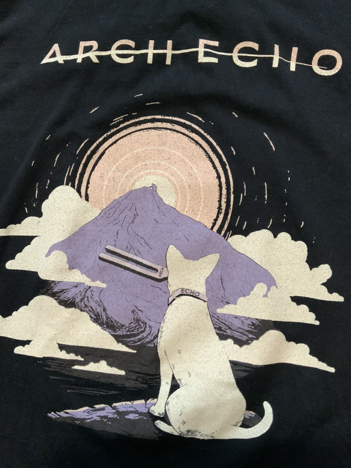 Band Tees Arch Echo Final Pitch 2023 Progressive Metal Band T-Shirt Size US S / EU 44-46 / 1 - 5 Thumbnail