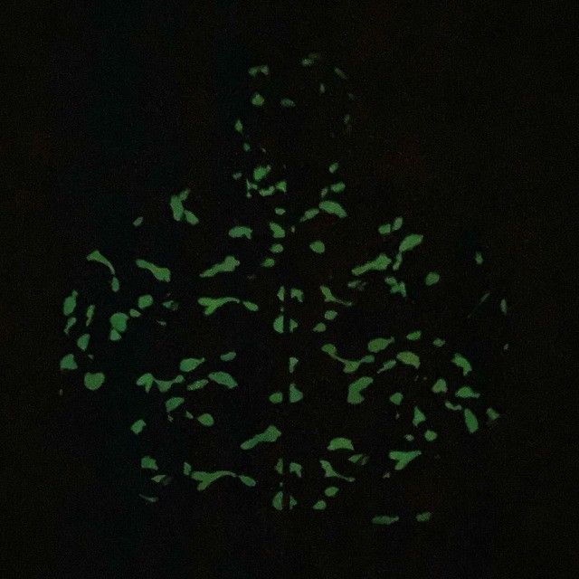 Bape 💫Glow in the dark💫 BAPE City Camo Zip Hoodie Jacket APE Size US M / EU 48-50 / 2 - 3 Thumbnail
