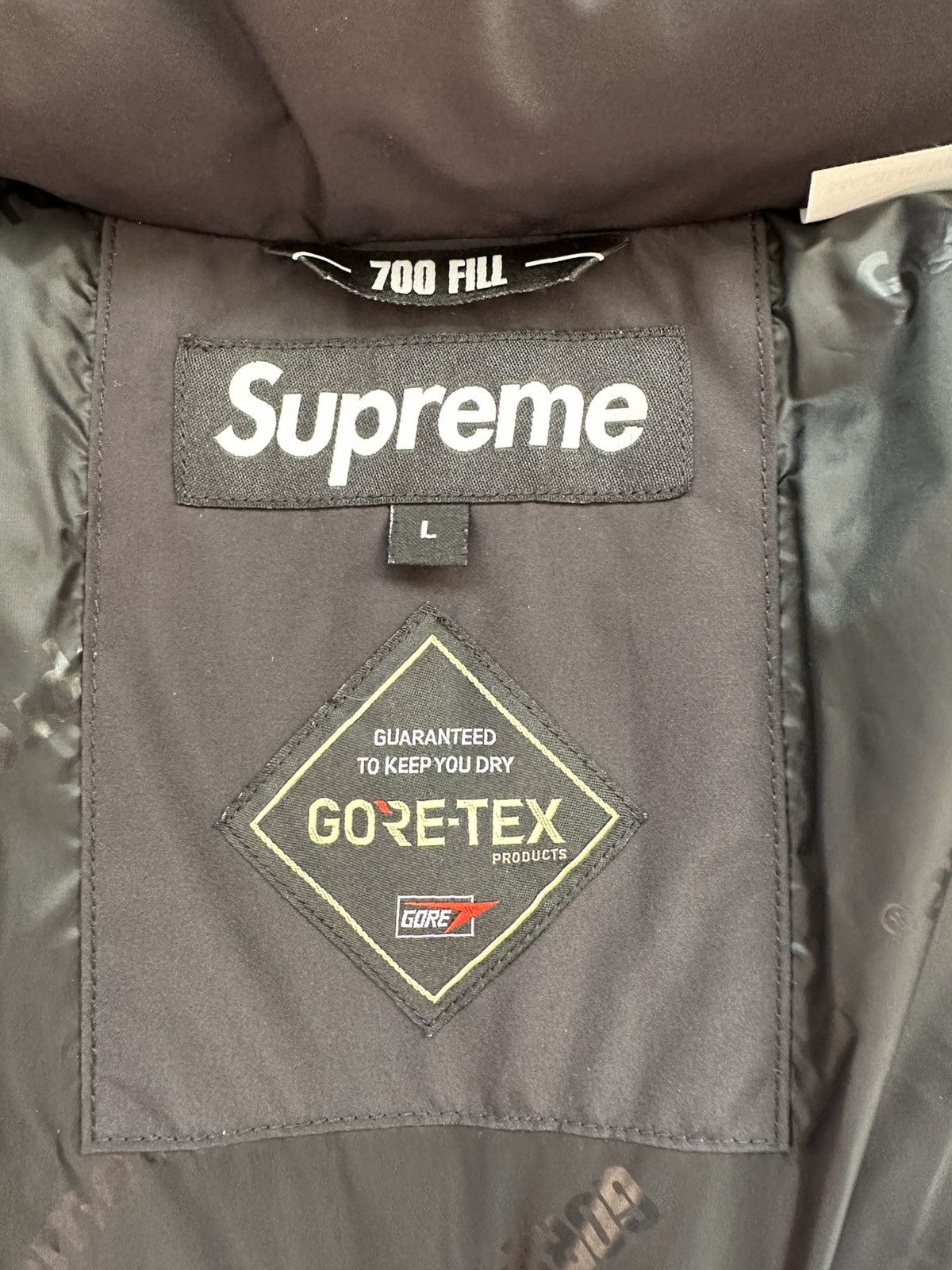 Supreme Supreme X Goretex 700 Fill Down Parka Size US L / EU 52-54 / 3 - 7 Thumbnail