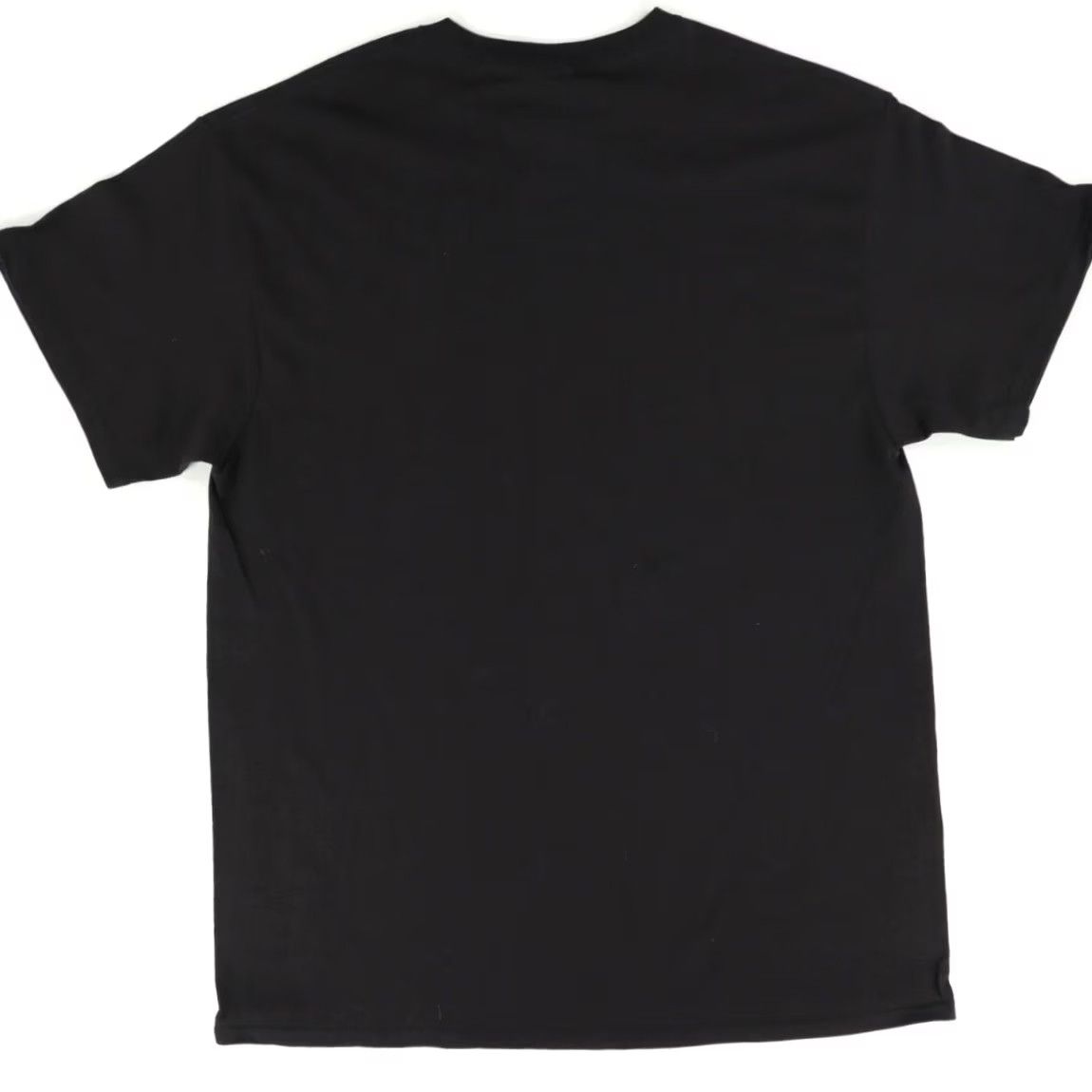 Vintage Big Fish Sportswear Last Dog Bring Home Solid T-Shirt Black Men's L Size US L / EU 52-54 / 3 - 4 Thumbnail