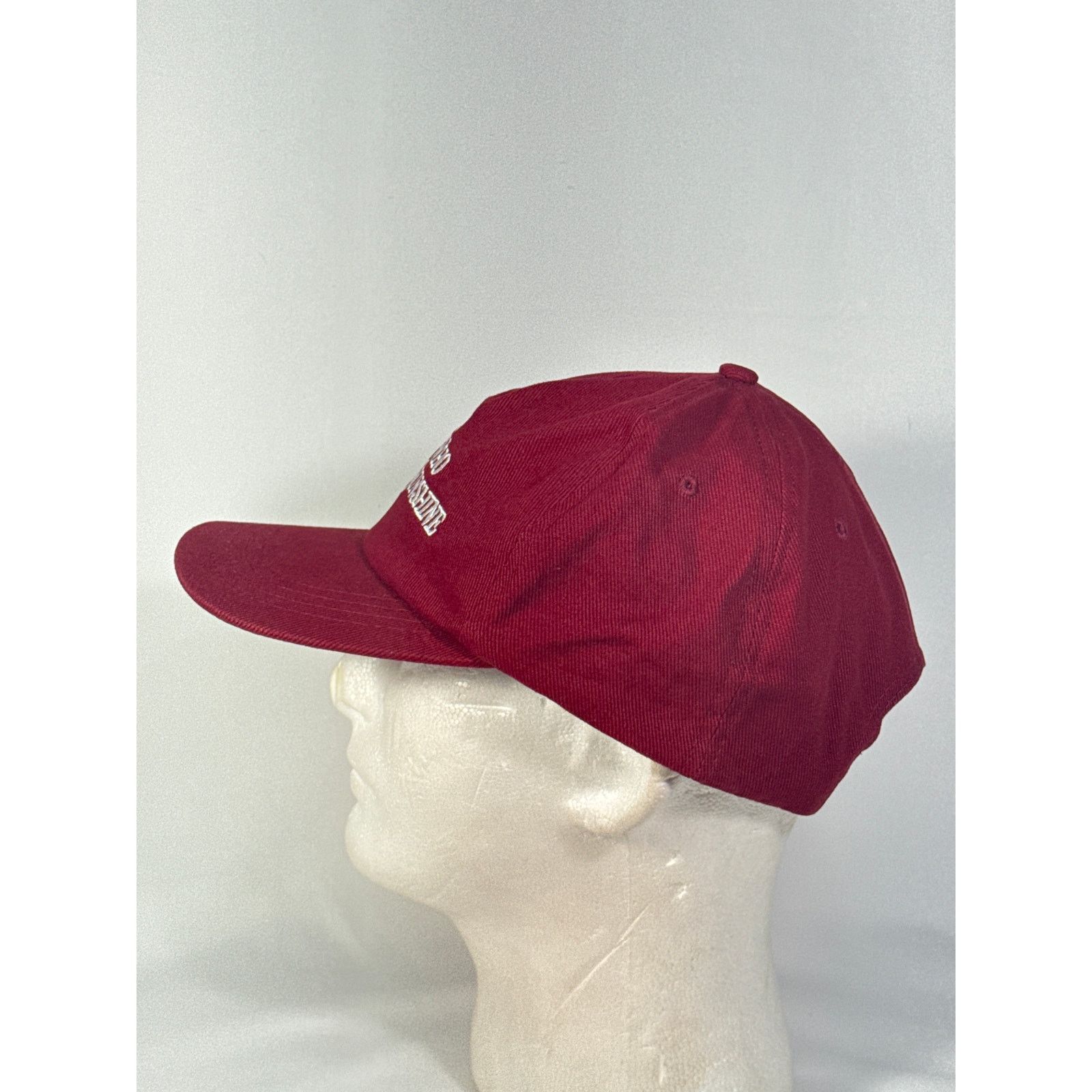 Urban Outfitters The Man Who Captured Sunshine Red Embroidered Baseball Hat Size ONE SIZE - 5 Thumbnail
