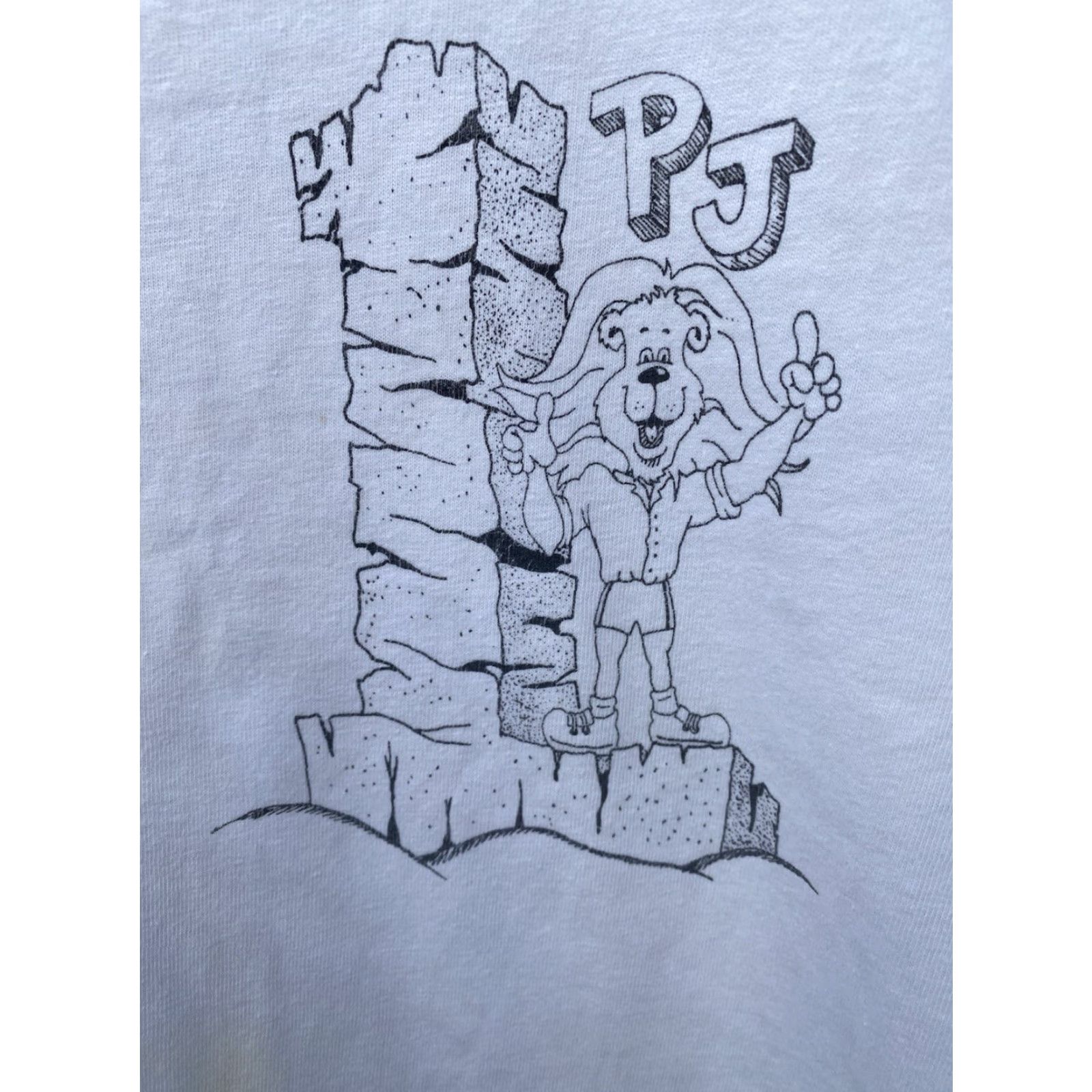 Hanes Vintage Hanes Beefy-T T-Shirt Escuela Preparatoria de Jalisco Grupo B 91-94 XL White 90s School Mens Size US XL / EU 56 / 4 - 4 Thumbnail
