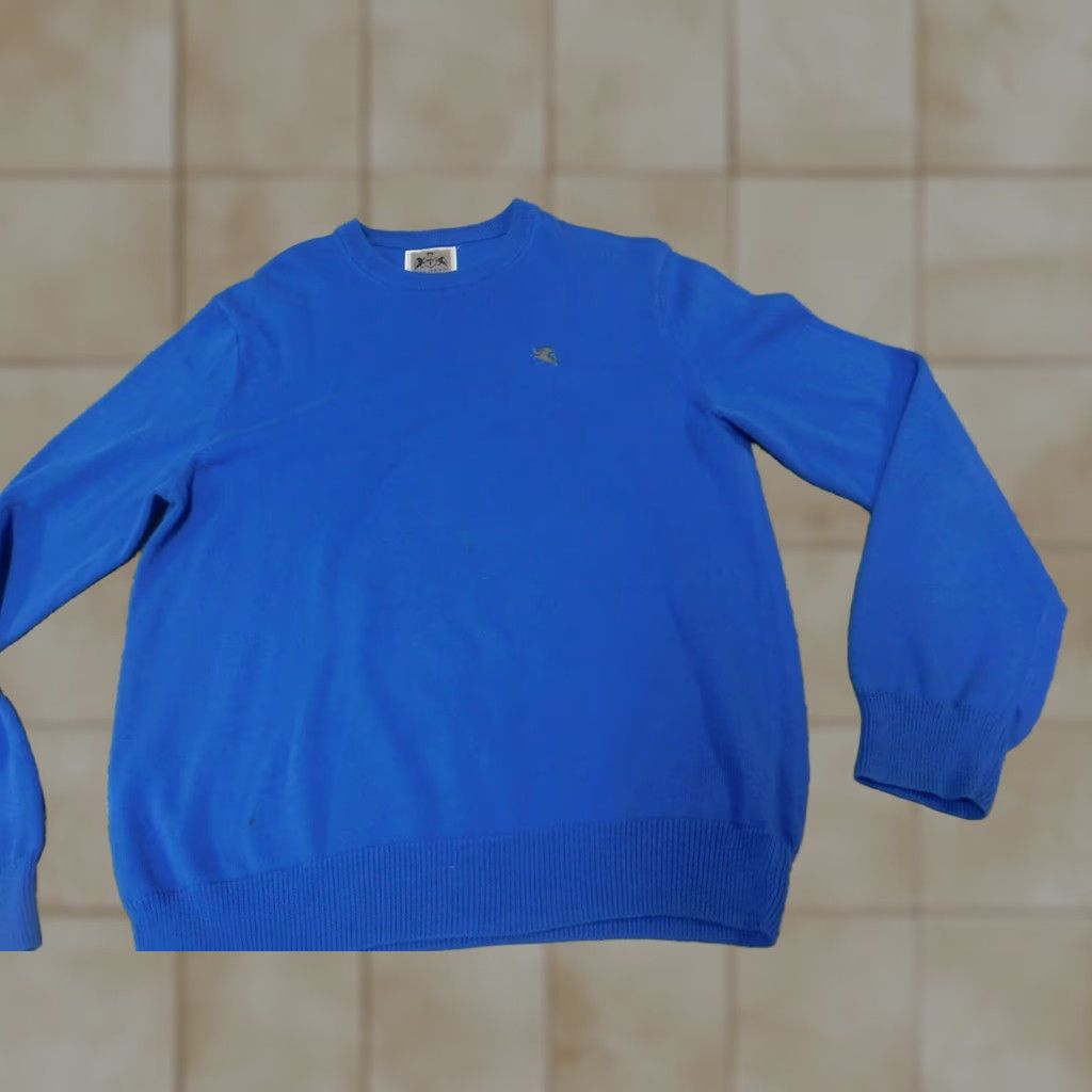 Express Express Mens Sweater Large Blue Logo Pullover V-Neck Stretch Cotton Classic Size US L / EU 52-54 / 3 - 1 Thumbnail