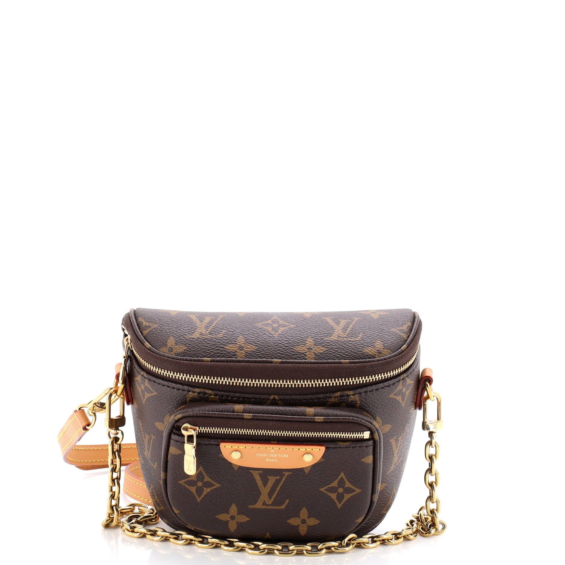 Louis Vuitton Bum Bag Size ONE SIZE - 1 Thumbnail