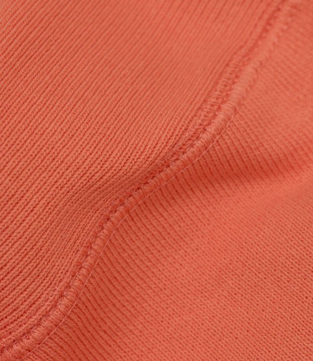 Champion Champion Reverse Weave Classic Hoody Size US L / EU 52-54 / 3 - 4 Thumbnail