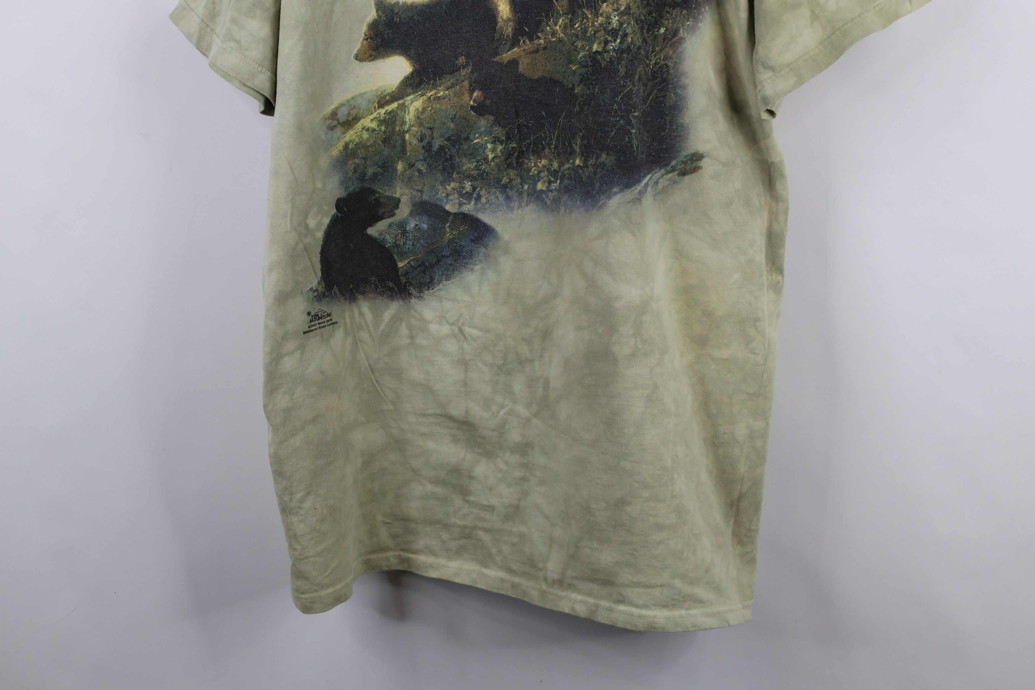 Vintage Vintage Y2K 2002 Streetwear Nature Bear Acid Wash T-Shirt Size US XXL / EU 58 / 5 - 3 Thumbnail