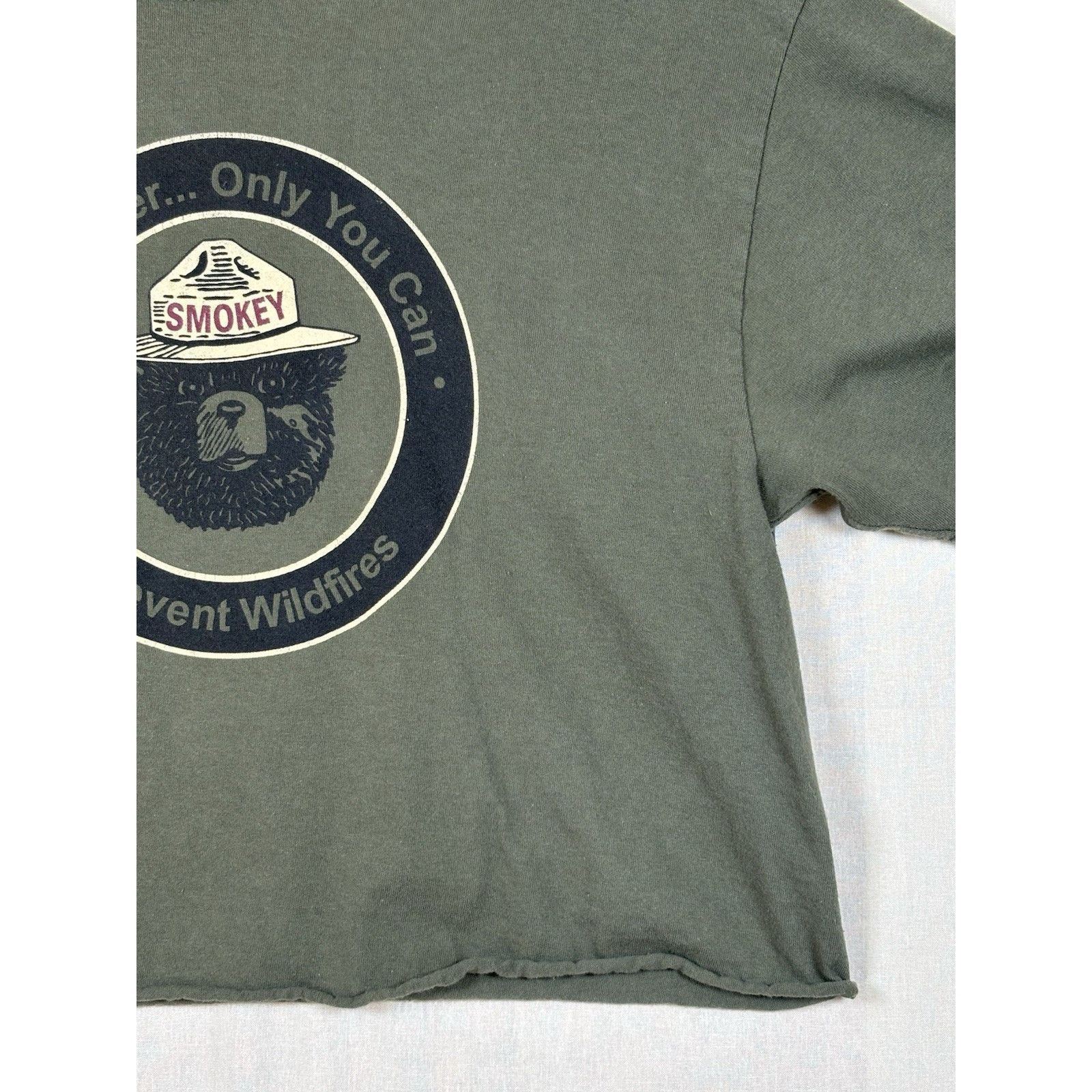 The Unbranded Brand Smokey The Bear Prevent Forest Wildfire Cropped T-Shirt LG Size US L / EU 52-54 / 3 - 11 Thumbnail