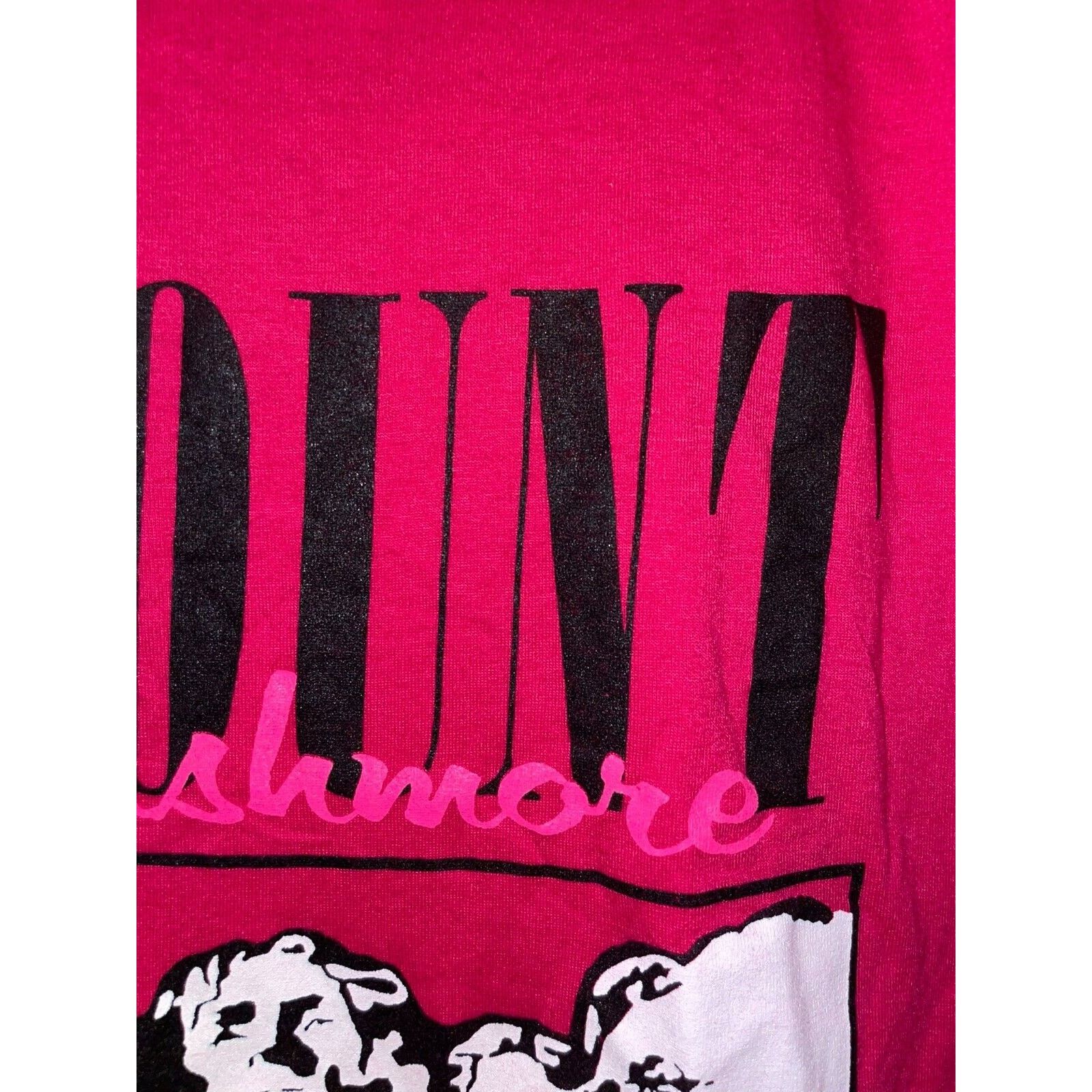 Jerzees Vintage South Dakota Shirt Mount Rushmore SD Pink Tee 90s S Size US S / EU 44-46 / 1 - 6 Thumbnail