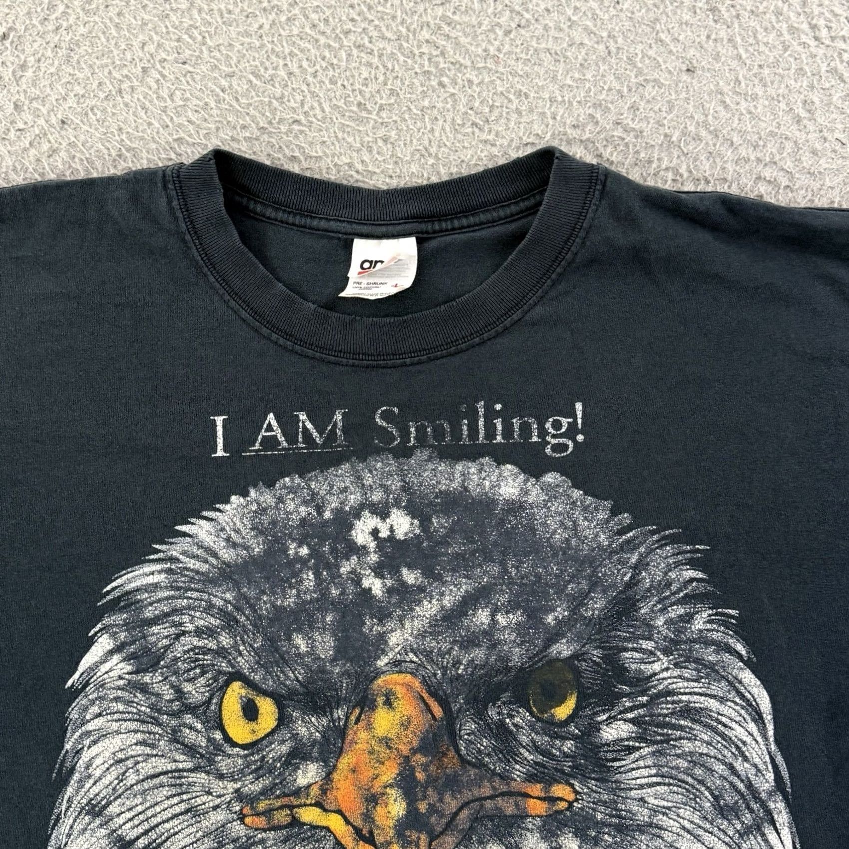 Anvil Vintage Bald Eagle Alaska Raptor Center Shirt Mens Large Black 90s Short Sleeve Size US L / EU 52-54 / 3 - 2 Thumbnail