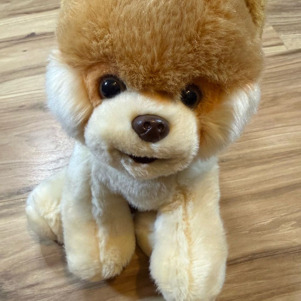 J Brand GUND Boo The World’s Cutest Dog Plush Size 26 - 1 Thumbnail