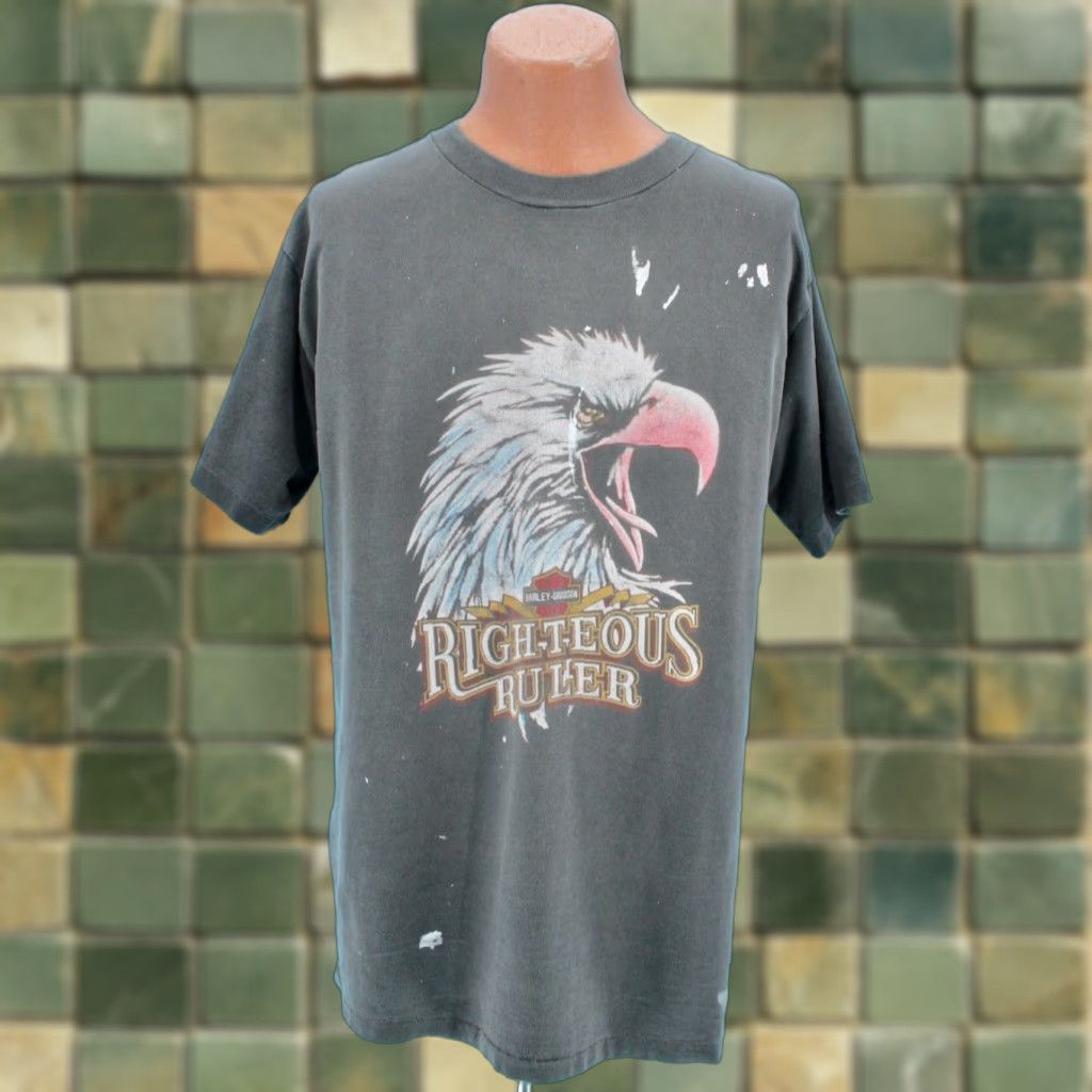 Tultex VTG 90s Harley Davidson Righteous Ruler Eagle TShirt Sz L Tultex Grey Men Graphic Tee 1990s T-Shirt Sailwear Size US L / EU 52-54 / 3 - 1 Thumbnail
