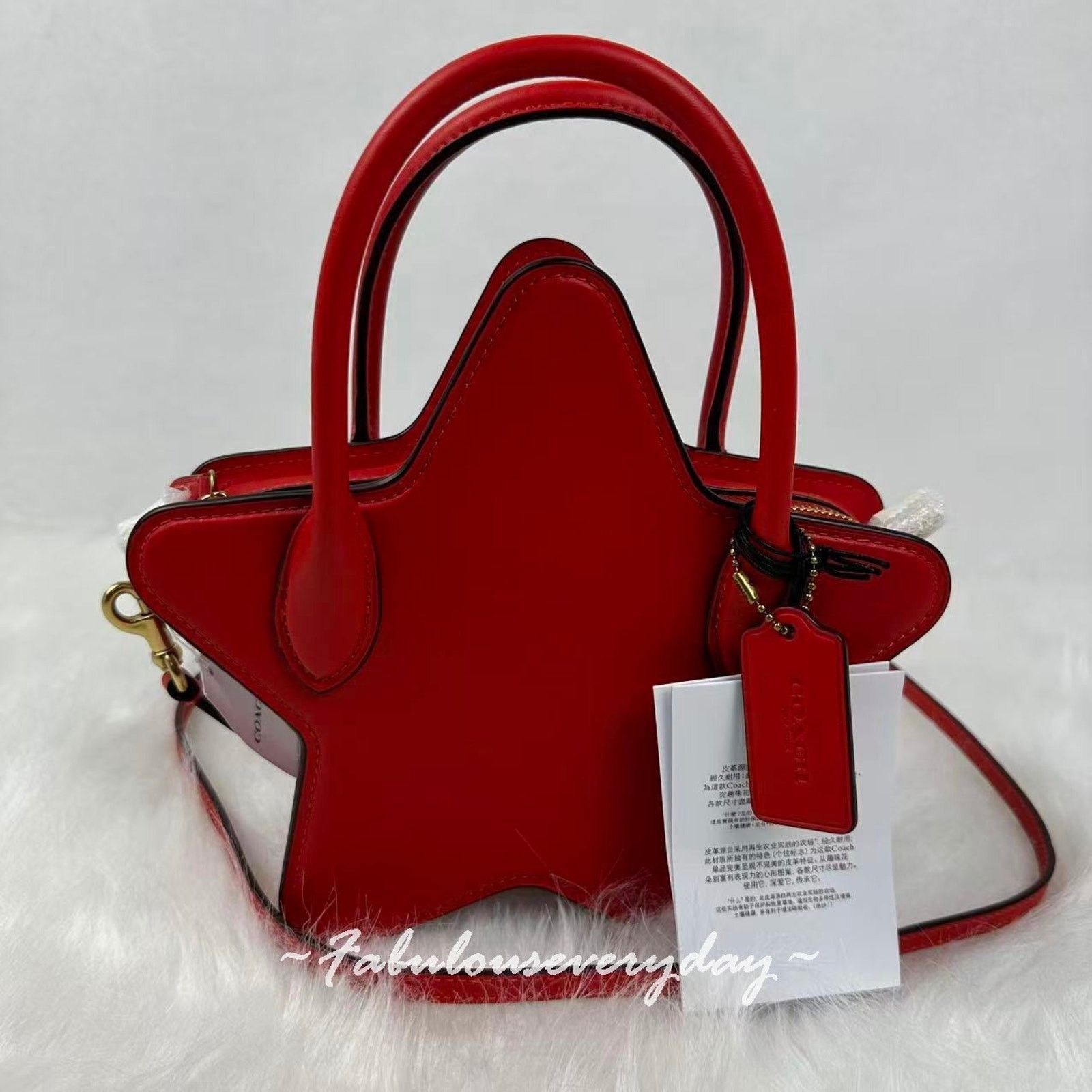 Coach Coach Star Bag Crossbody In Regenerative Leather/Gold/ Red Size ONE SIZE - 2 Thumbnail