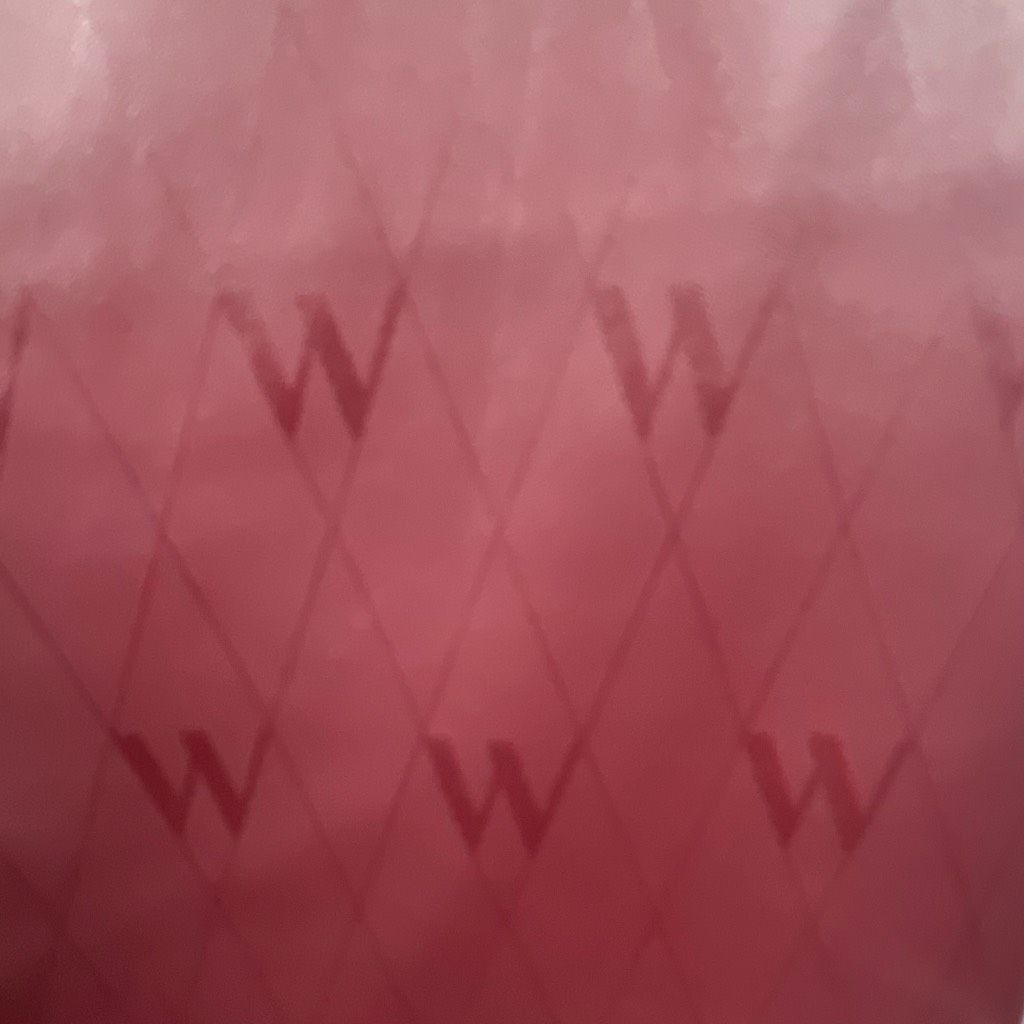 Wolford NWT Wolford Net Vegan Leather Leggings Port Royale Burgundy Size 32" / US 10 / IT 46 - 5 Thumbnail
