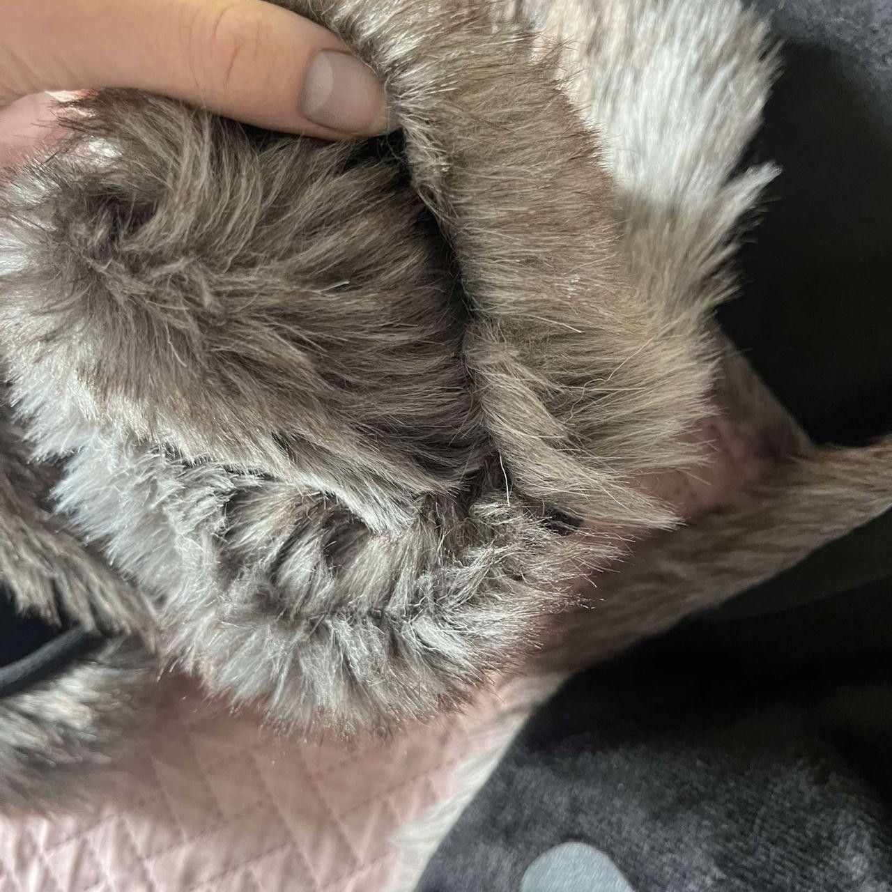 Other Y2k Fluffy Winter Plush Cat Hat-Gloves Size ONE SIZE - 5 Thumbnail