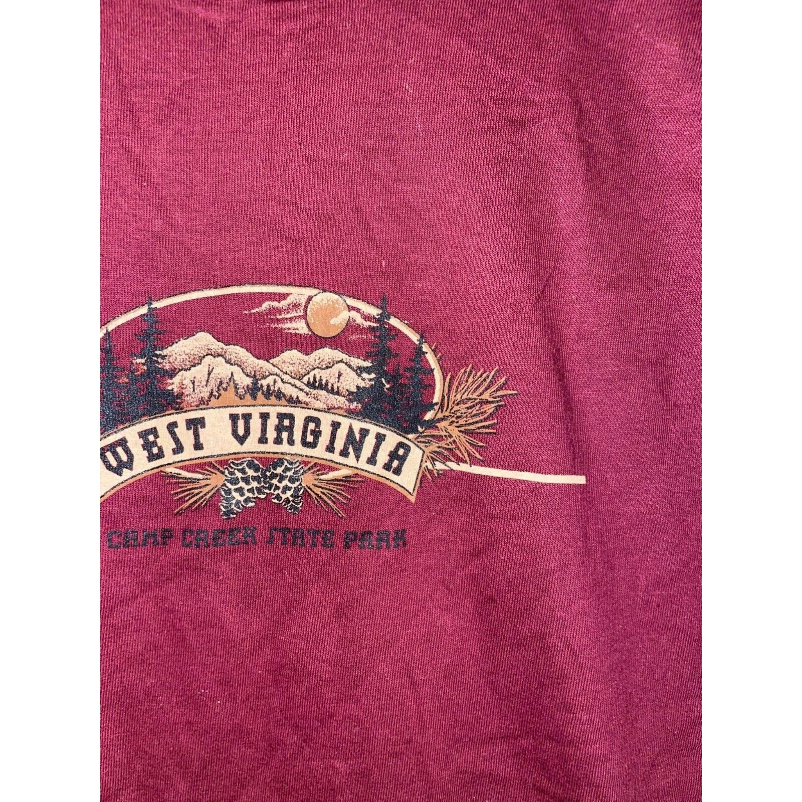 Jerzees Vintage West Virginia Shirt Camp Creek State Park Tee 90s M Size US M / EU 48-50 / 2 - 4 Thumbnail