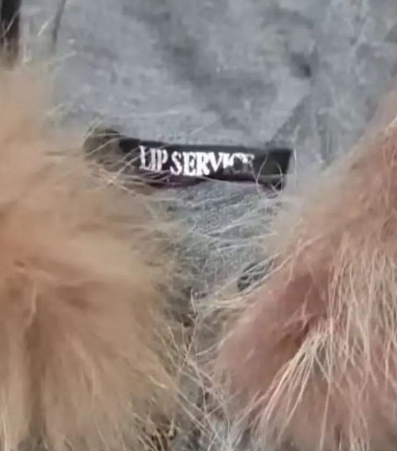 Lip Service Lip Service - Fur Hoodie ifsixwasnine & Lgb style Size M / US 6-8 / IT 42-44 - 2 Thumbnail