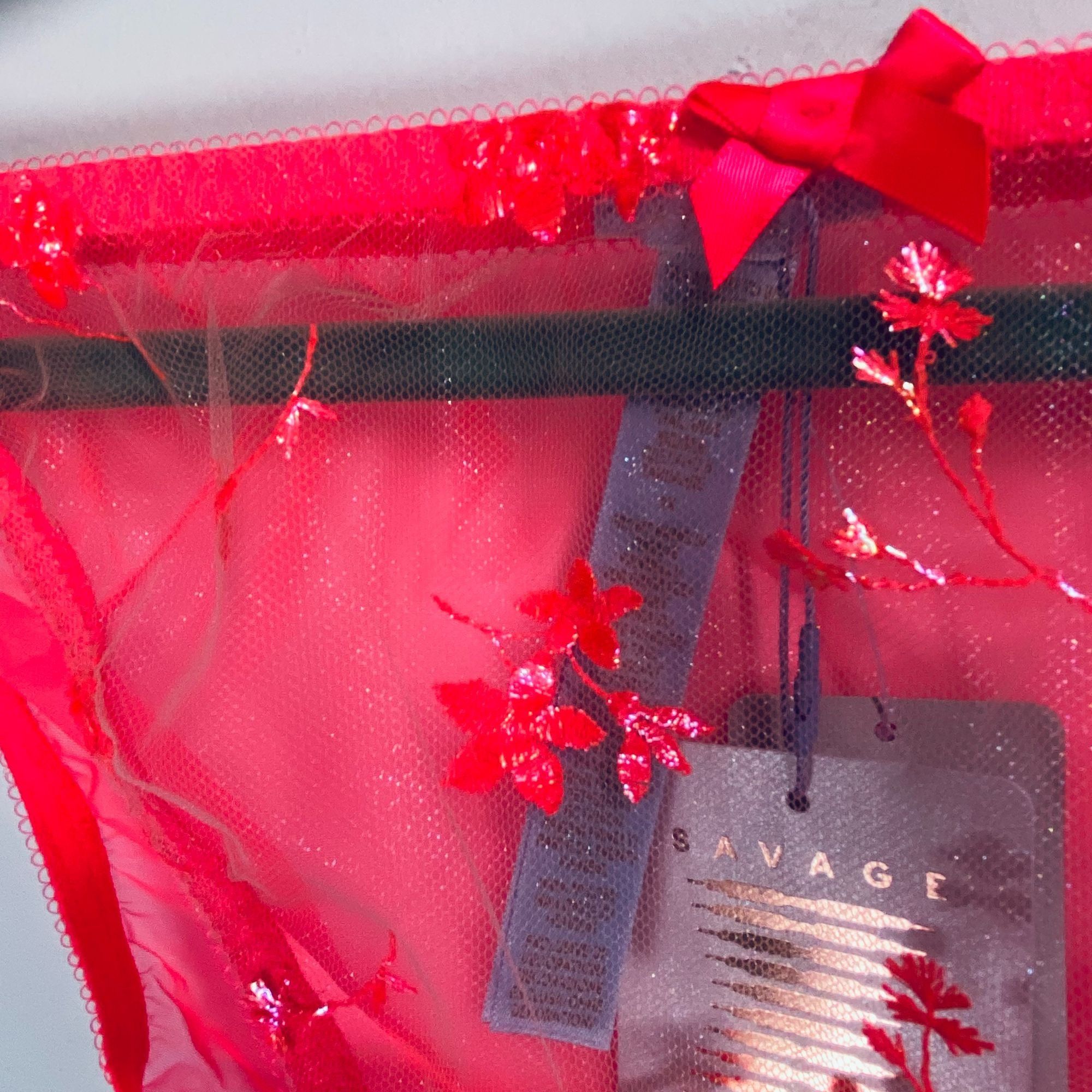 Other Savage X Fenty Red Floral Sheer Bikini Panties 2X Size ONE SIZE - 2 Thumbnail