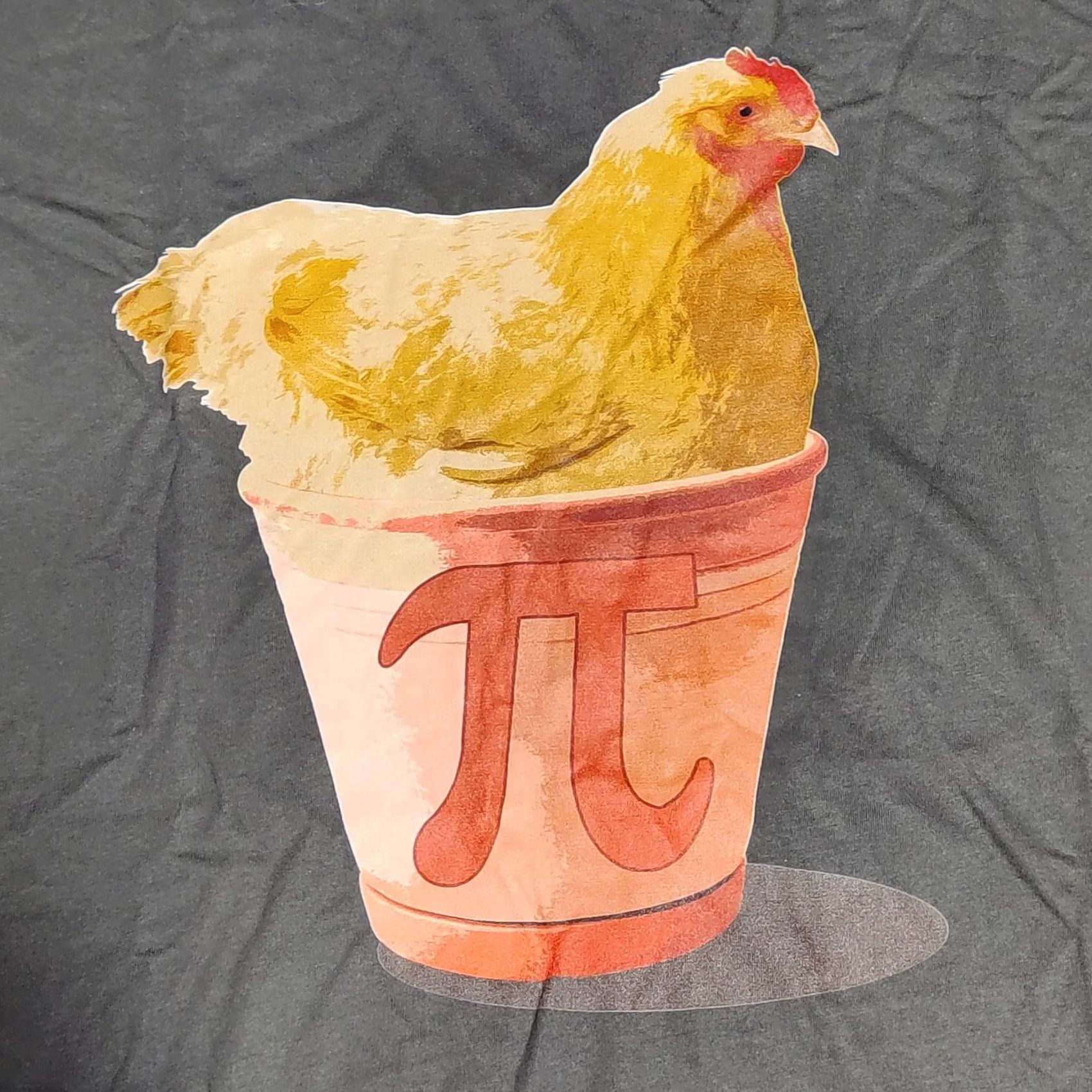 Vintage Panowear CHICKEN POT PI Men XL Gray Short Sleeve T-Shirt PI DAY 3.14 NEW Size US XL / EU 56 / 4 - 3 Thumbnail