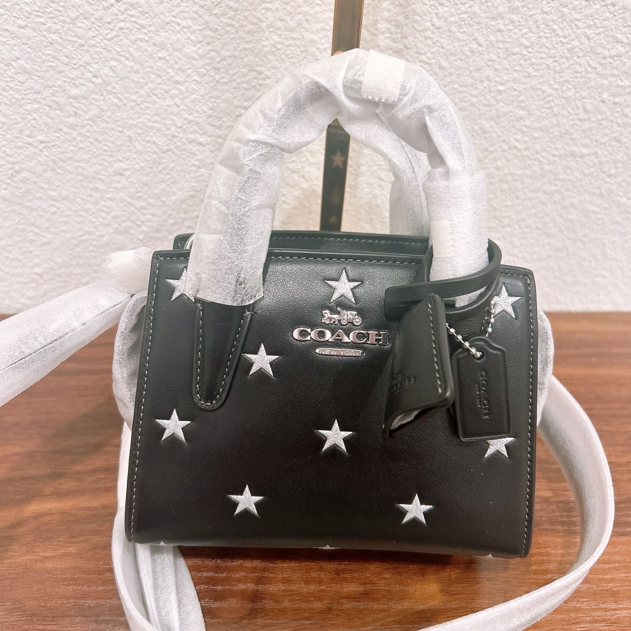 Andrea Mini Carryall Bag With Star Print CW306