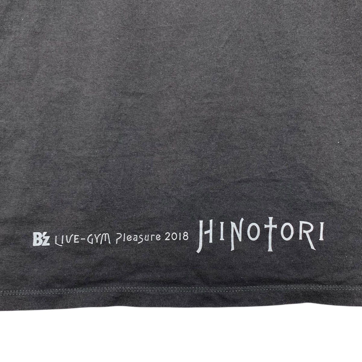Japanese Brand HINOTORI B’Z Live Gym Pleasure Rock And Roll Japan Shirt Size US M / EU 48-50 / 2 - 5 Thumbnail
