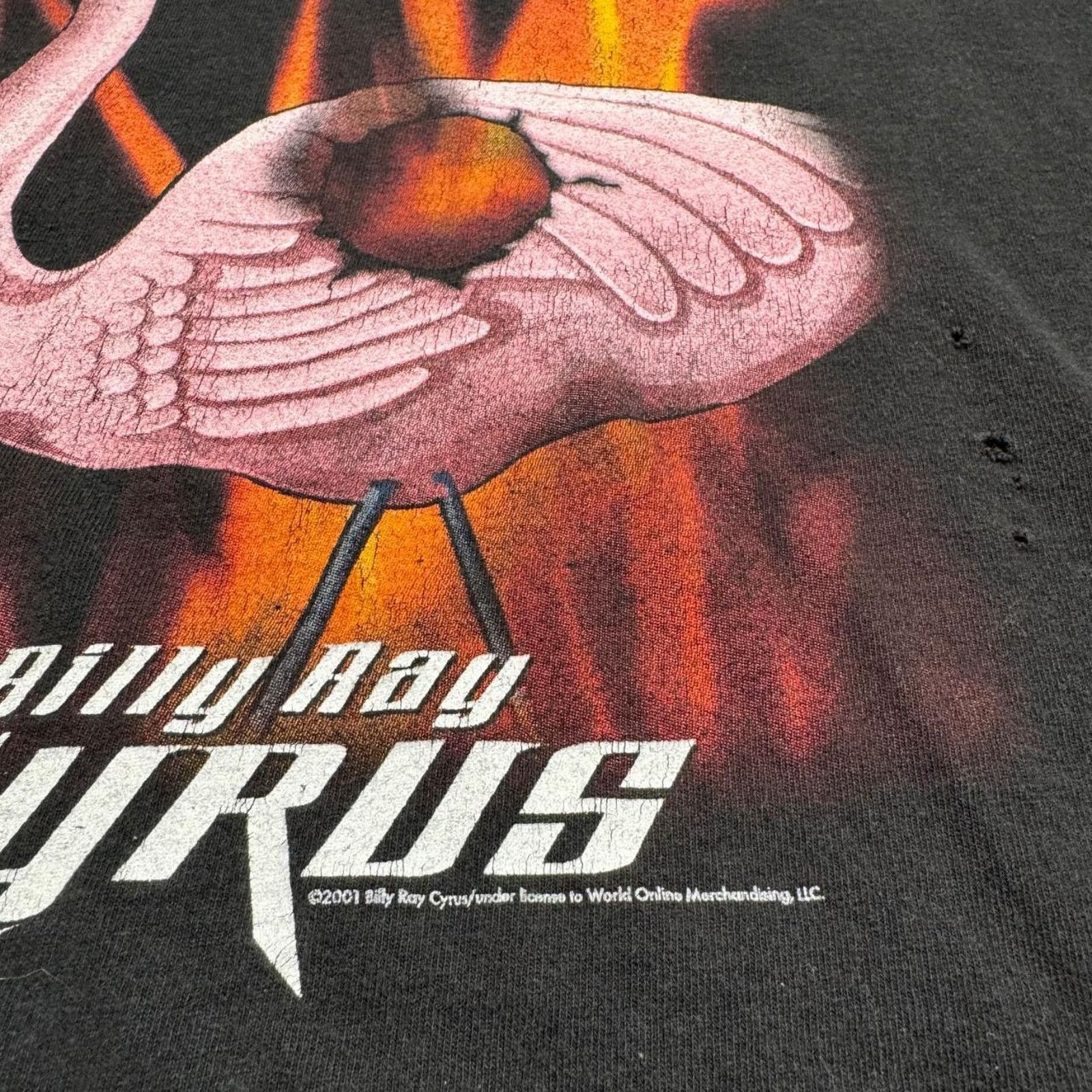Other 2001 Billy Ray Cyrus Tour Tee "Burn Down the Trailer Park" Size US XL / EU 56 / 4 - 4 Thumbnail