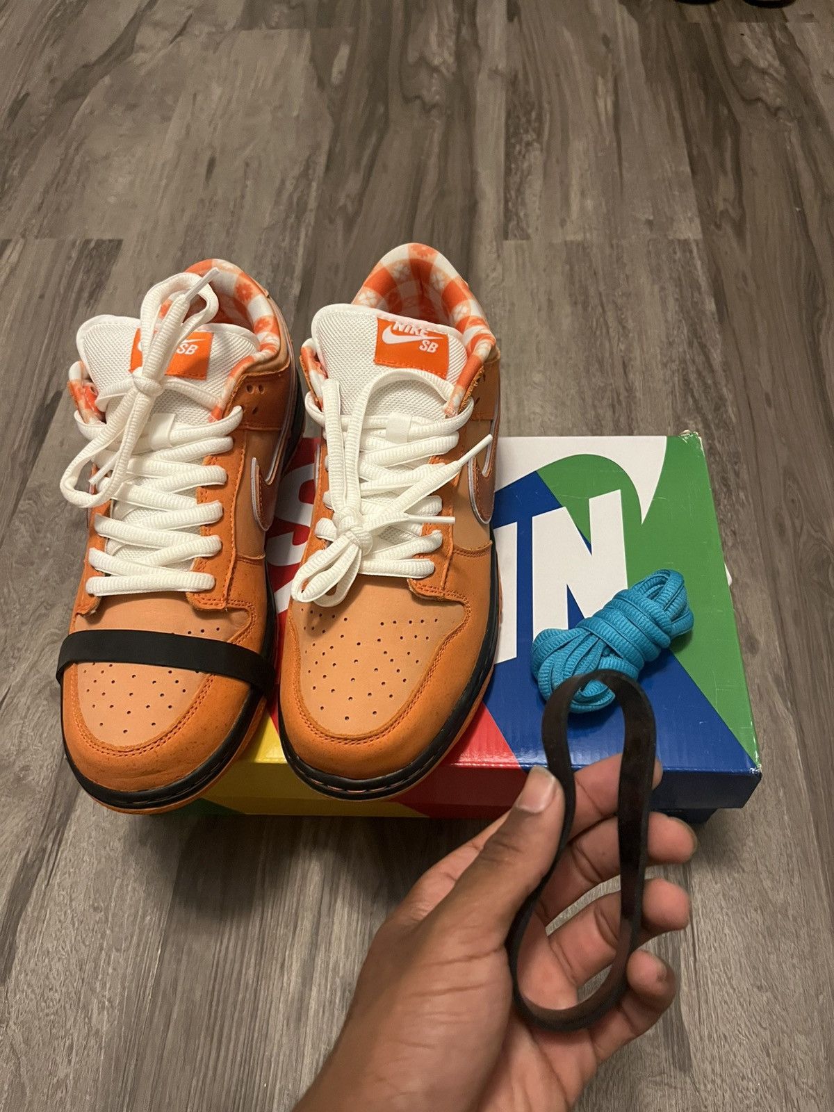 CNCPTS × Nike Nike Lobster SB Size US 9 / EU 42 - 14 Thumbnail