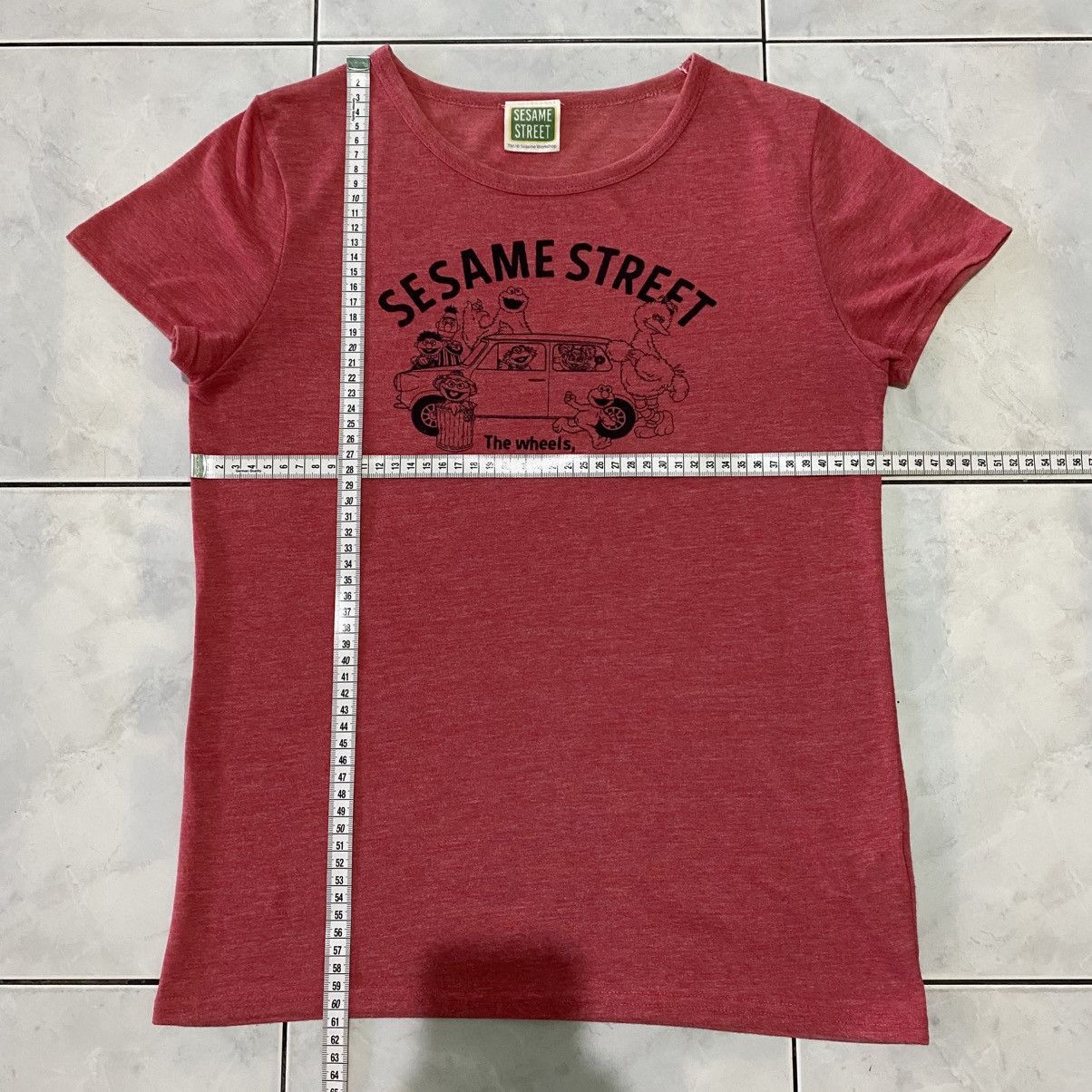 Sesame Street Picnic Gang The Wheels Round Vintage Style