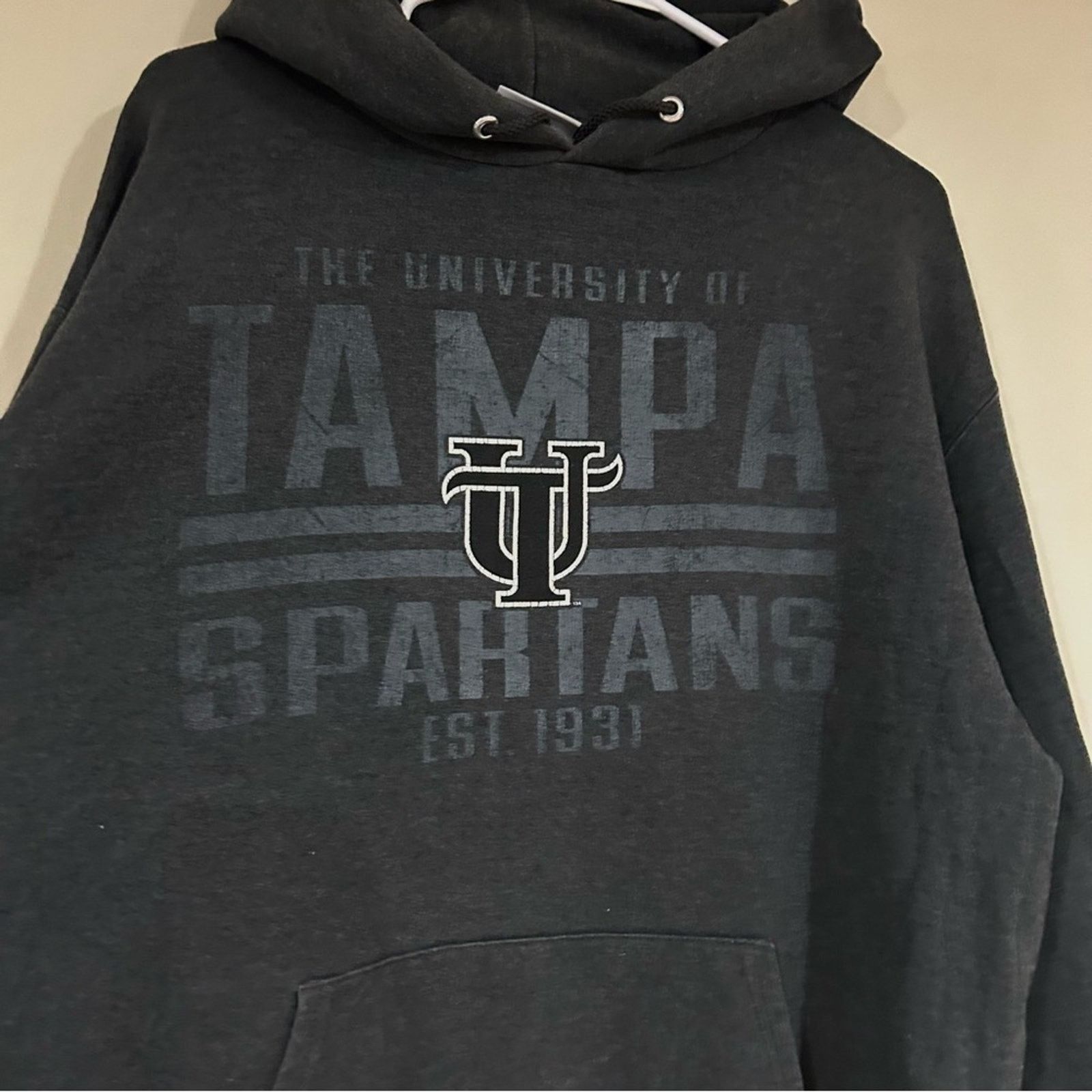Champion Champion University Of Tampa Spartans Hoodie Size US L / EU 52-54 / 3 - 2 Thumbnail