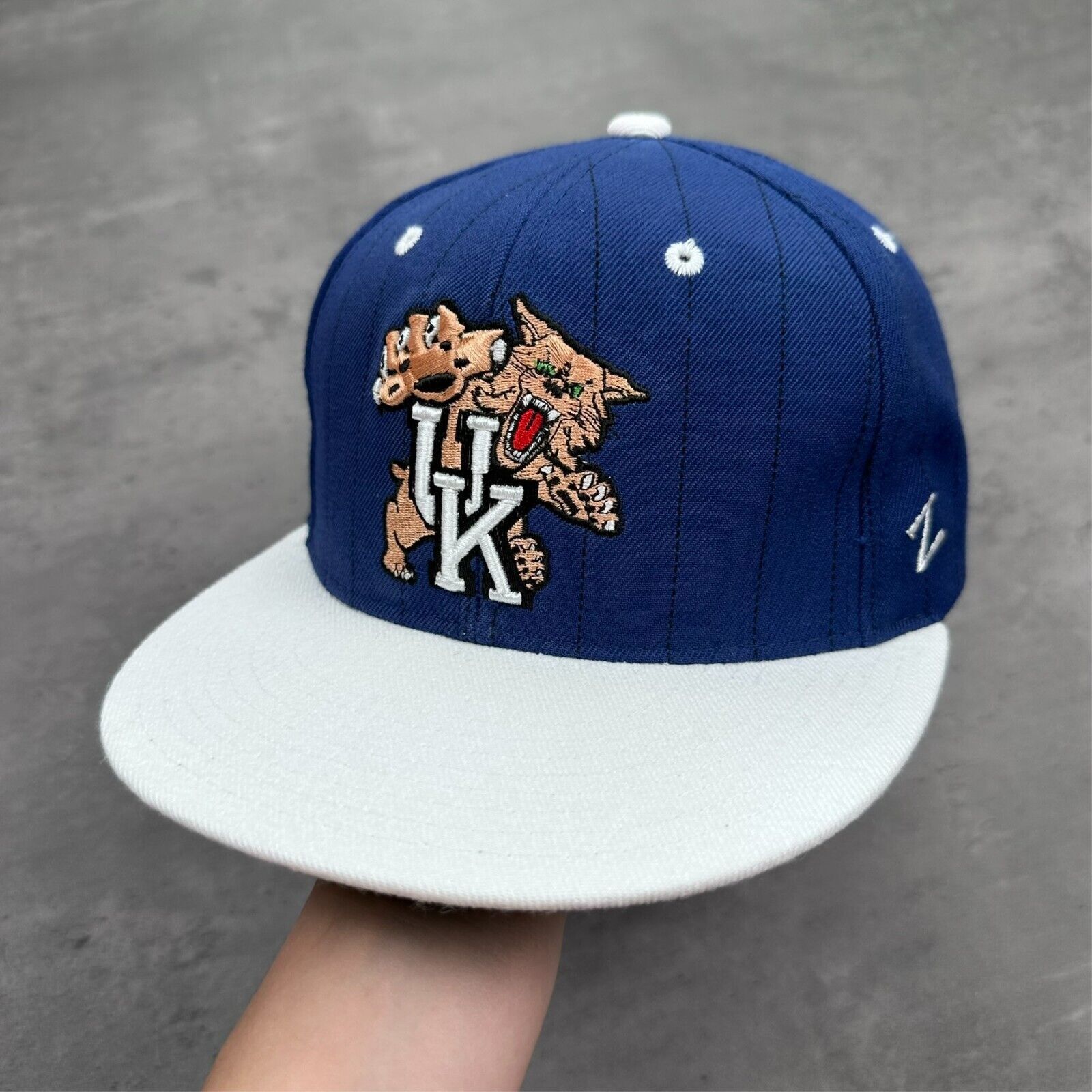 Vintage × Zephyr Vintage Zephyr University of Kentucky Wildcats Pinstripe Hat Size ONE SIZE - 1 Thumbnail