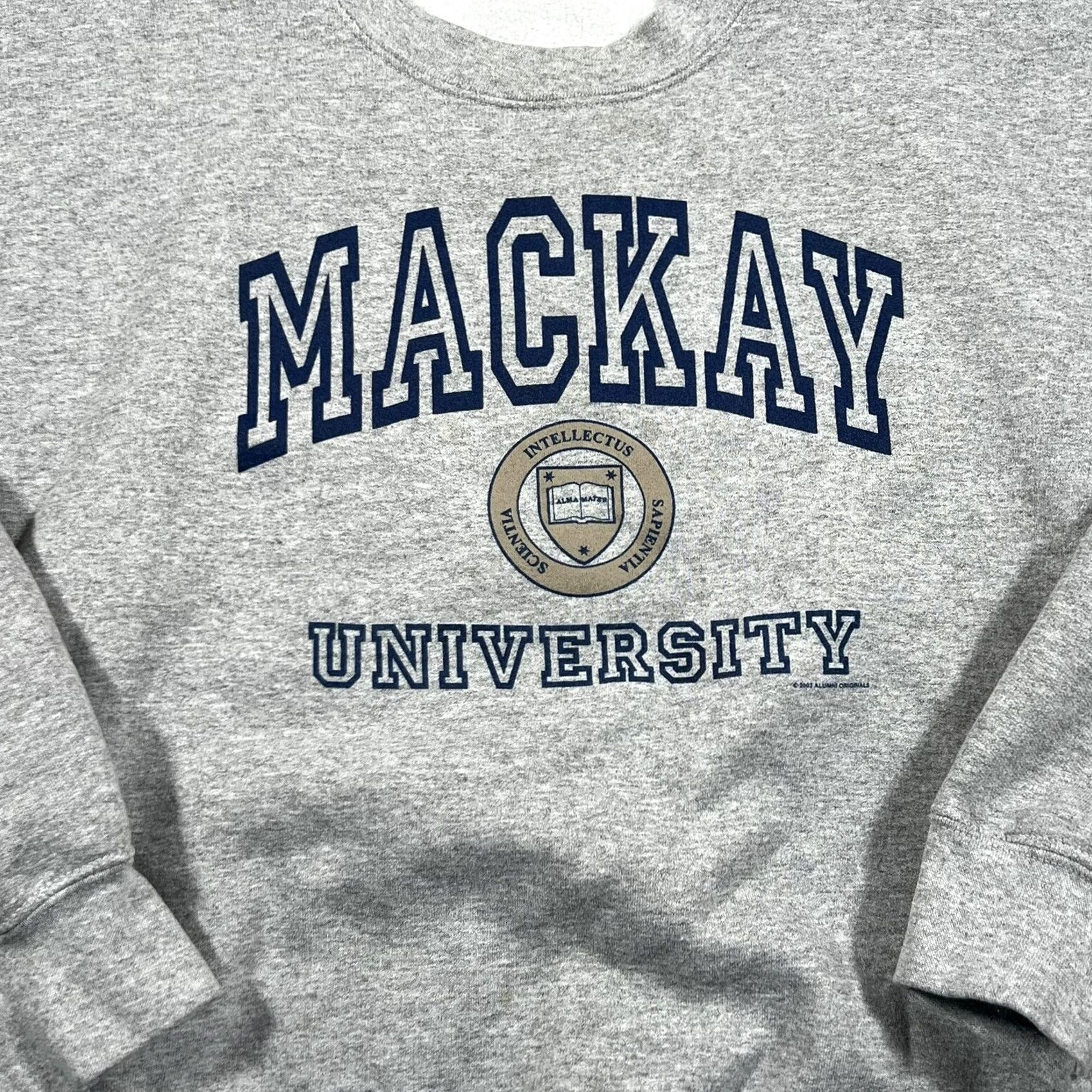 Vintage VINTAGE Mackay University Sweatshirt Sweatshirt XL Men Gray University Y2k Pullover Stain Size US XL / EU 56 / 4 - 2 Thumbnail
