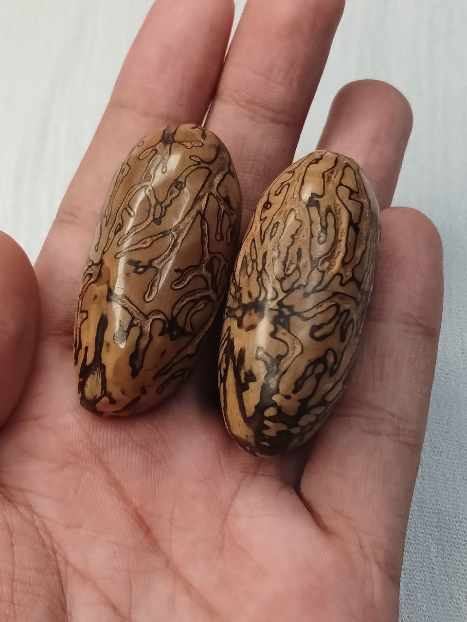 Vintage Natural antique oud natural cruciferous treenaturally Size ONE SIZE - 1 Thumbnail